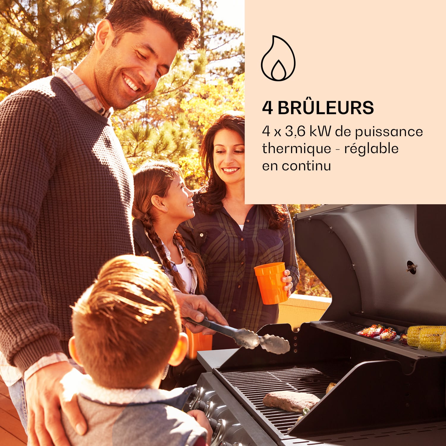 Lucifer 4 Barbecue à gaz 4 x 3,6 kW brûleurs 69 x 45 cm barbecue inox mobile 4 brûleurs | Argent Métallisé