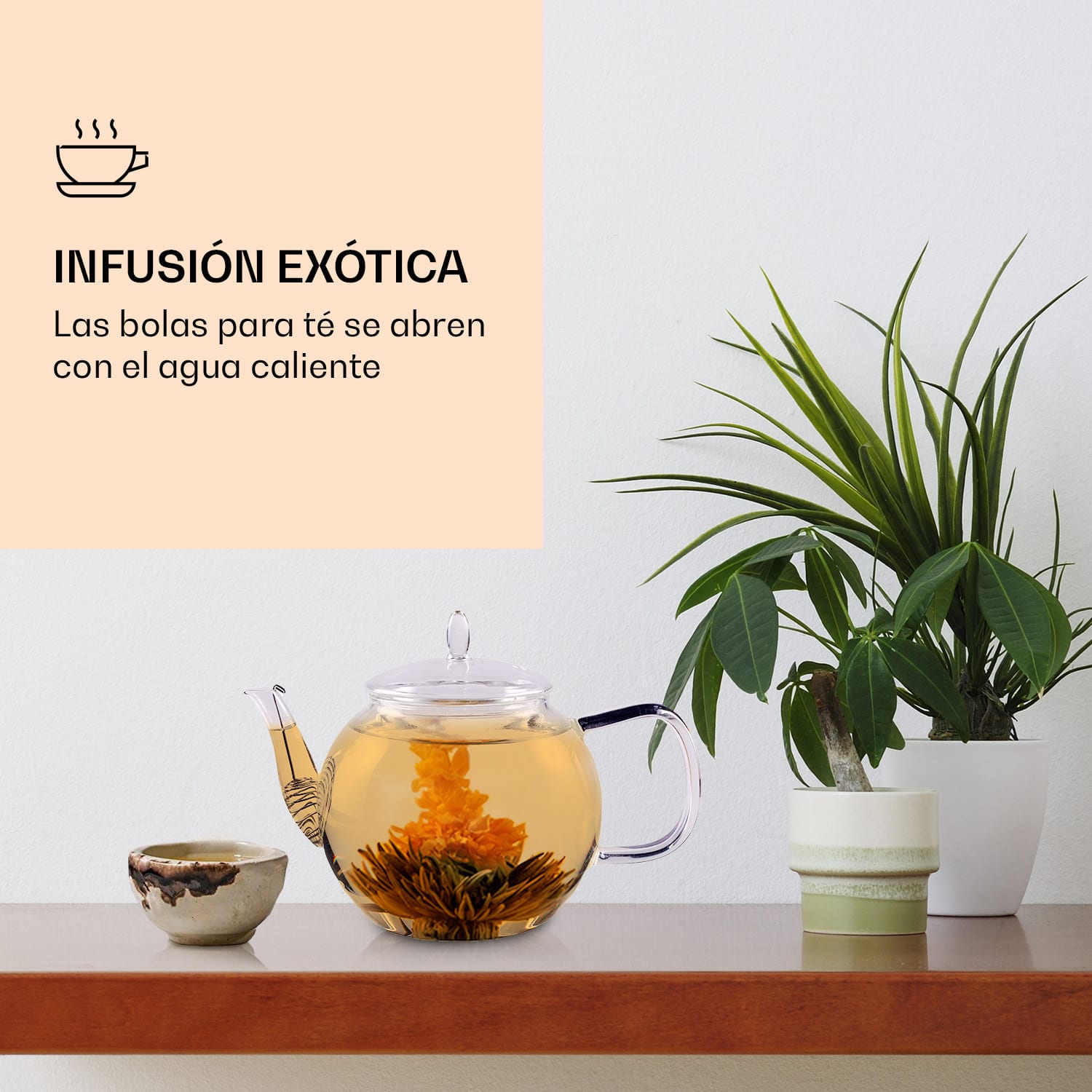 Flores de té 6 variedades diferentes envasadas individualmente y muy productivas  te blanco