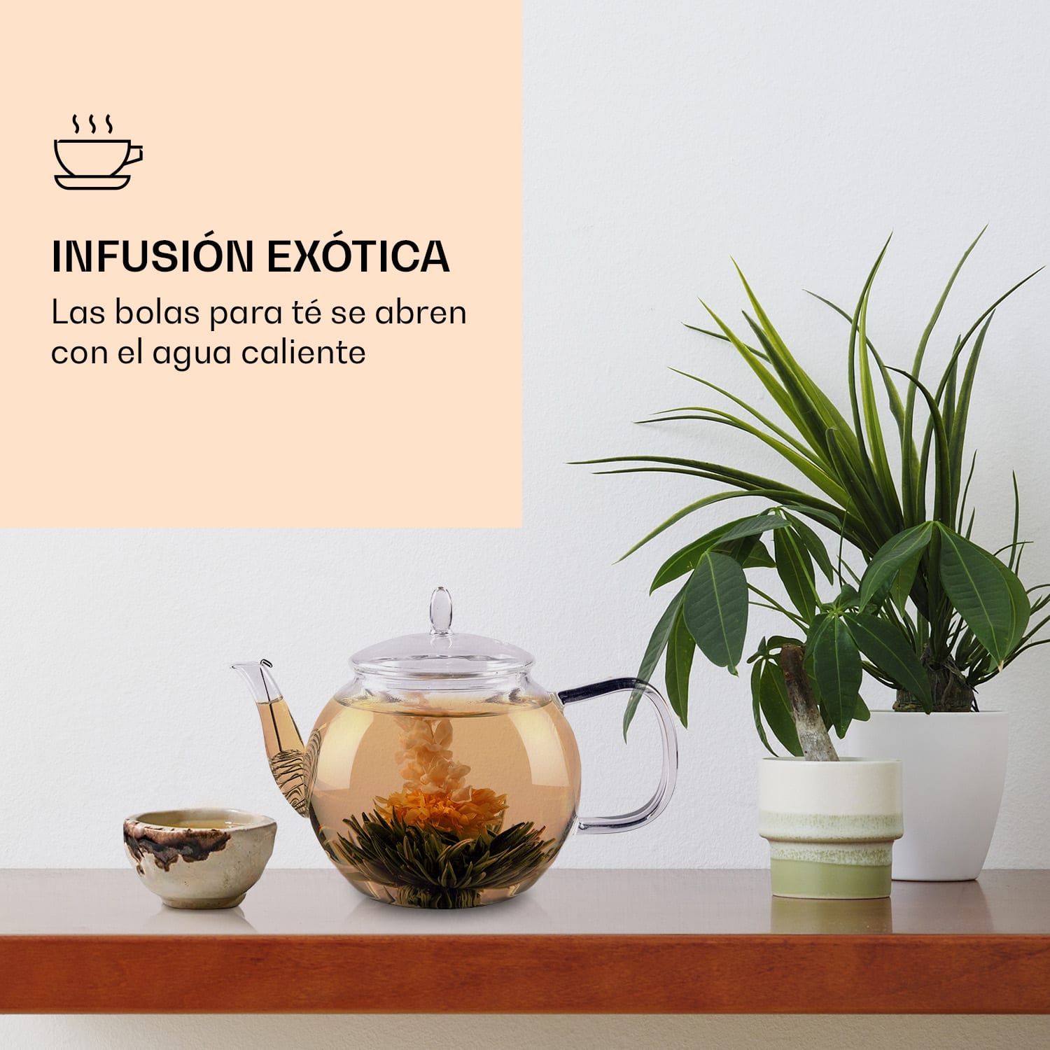 Flores de té 6 variedades diferentes envasadas individualmente y muy productivas  Té verde