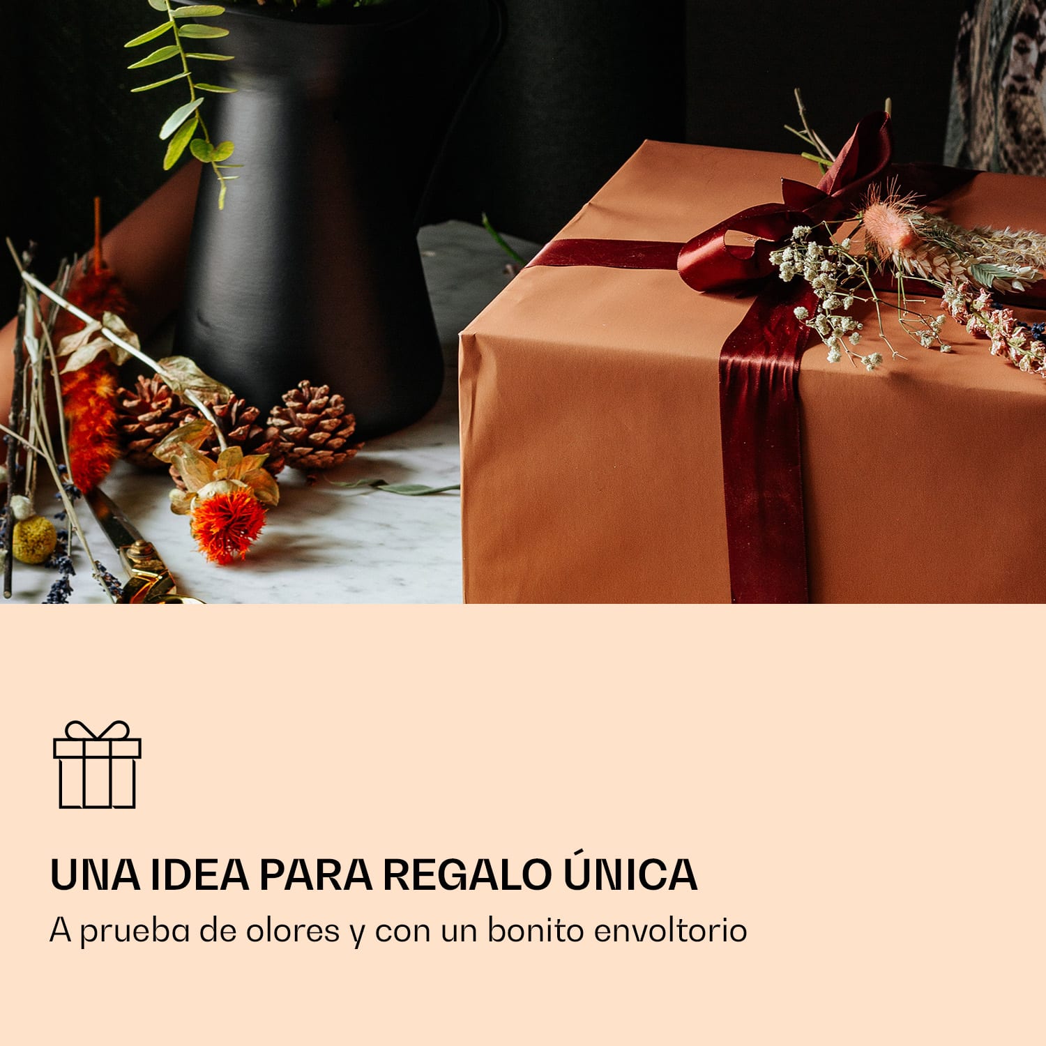 Flores de té 6 variedades diferentes envasadas individualmente y muy productivas  Té verde