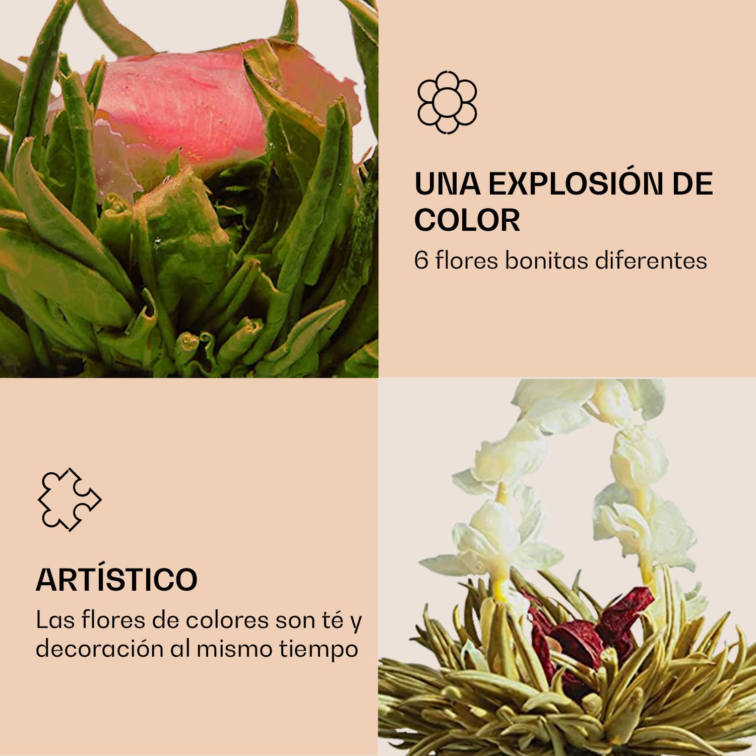 Flores de té 6 variedades diferentes envasadas individualmente y muy productivas  Té verde