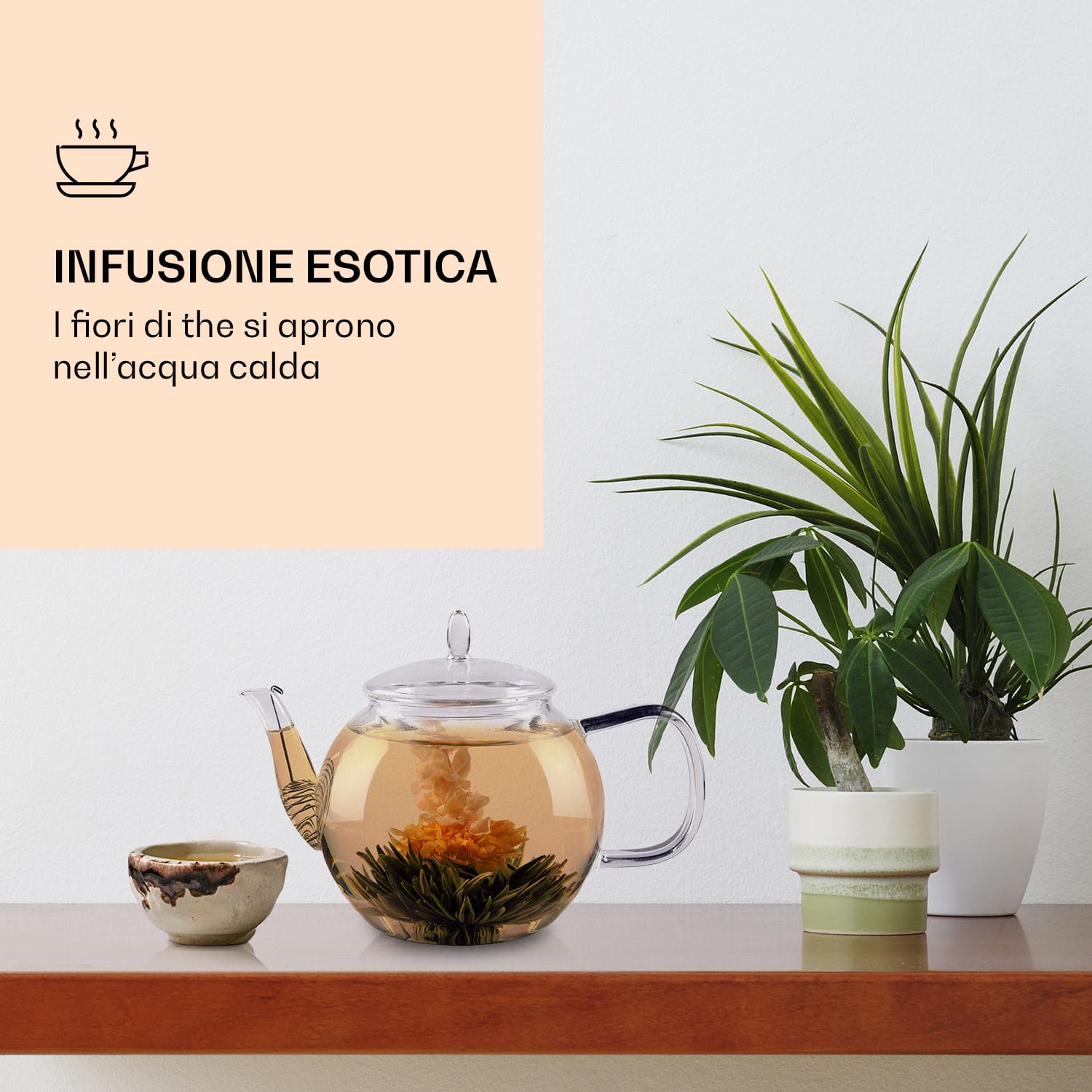 Fiori di tè, 6 varietà diverse, confezionati singolarmente, alto rendimento  Tè verde