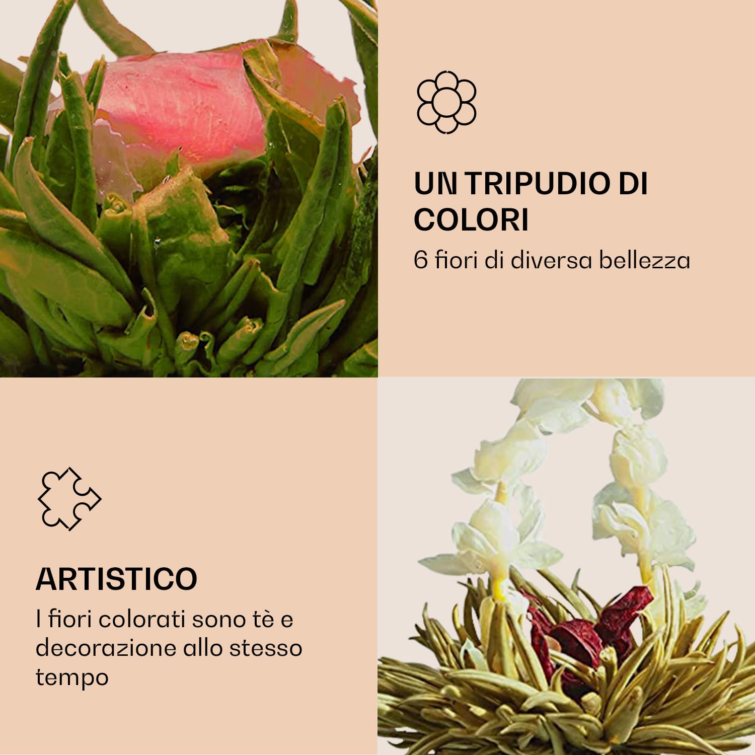 Fiori di tè, 6 varietà diverse, confezionati singolarmente, alto rendimento  Tè verde
