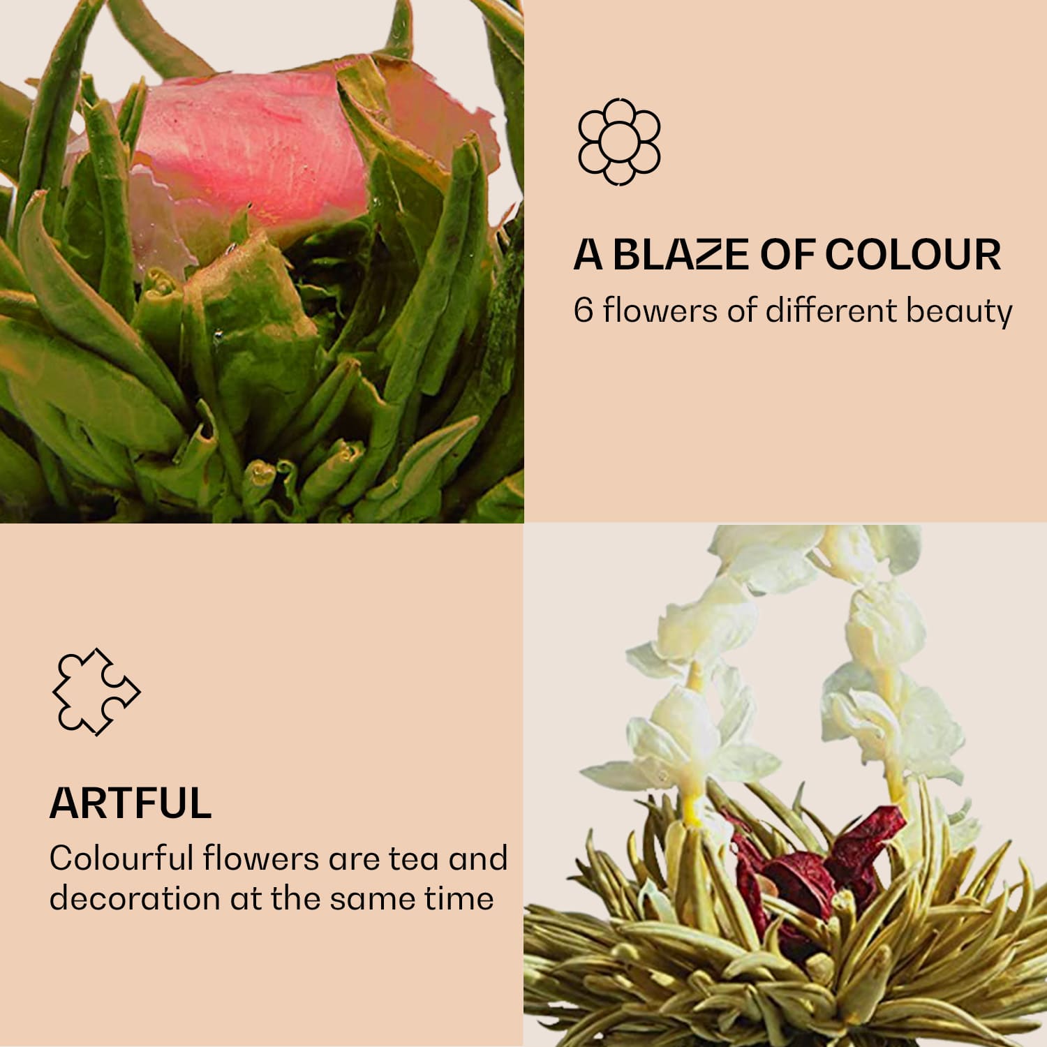 Cvjetovi čaja, 6 različitih sorti, pojedinačno pakirani, vrlo produktivni  Crni čaj