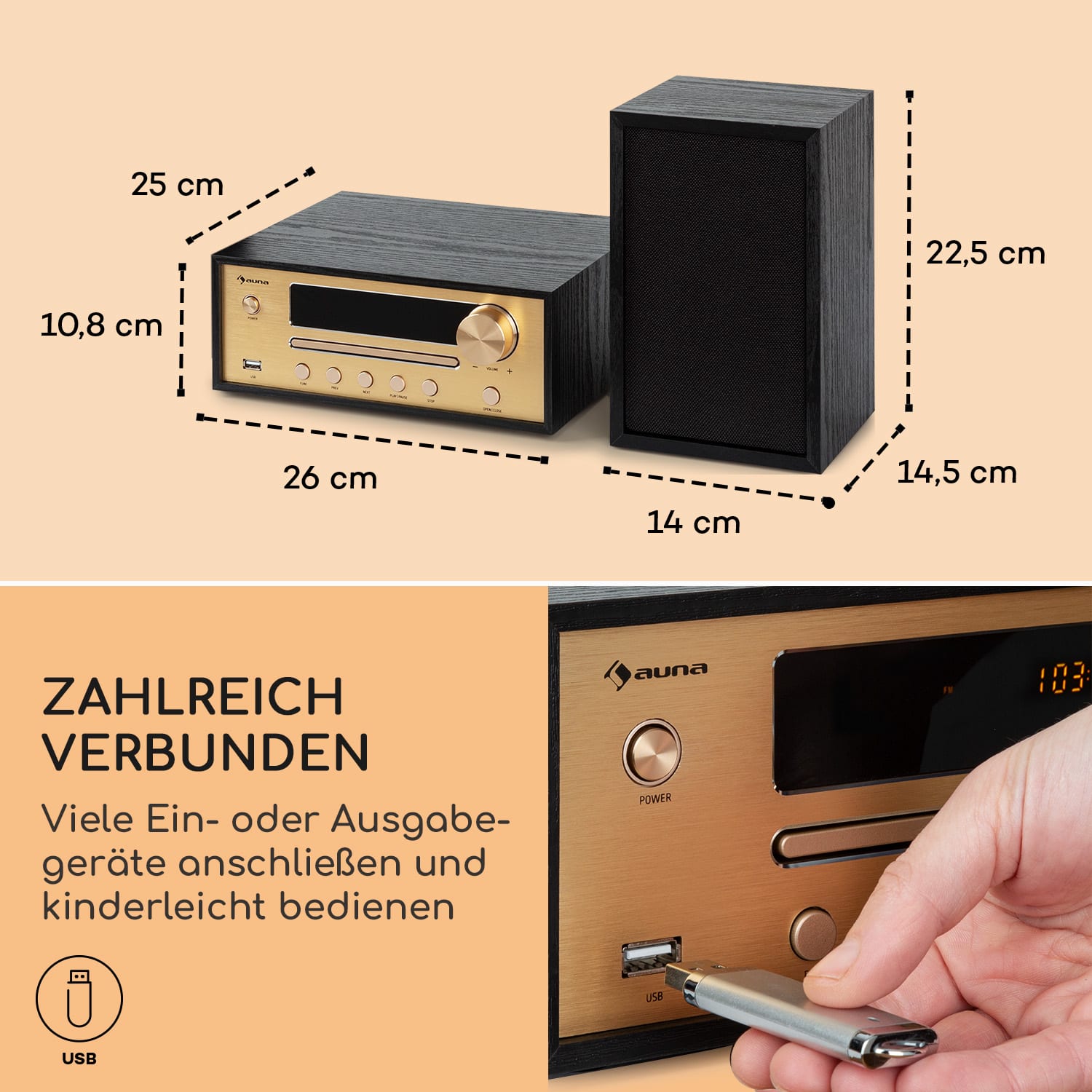 Berklee HiFi Stereo System BT Stereo-Lautsprecher UKW MP3 USB Line-In Schwarzes Holz