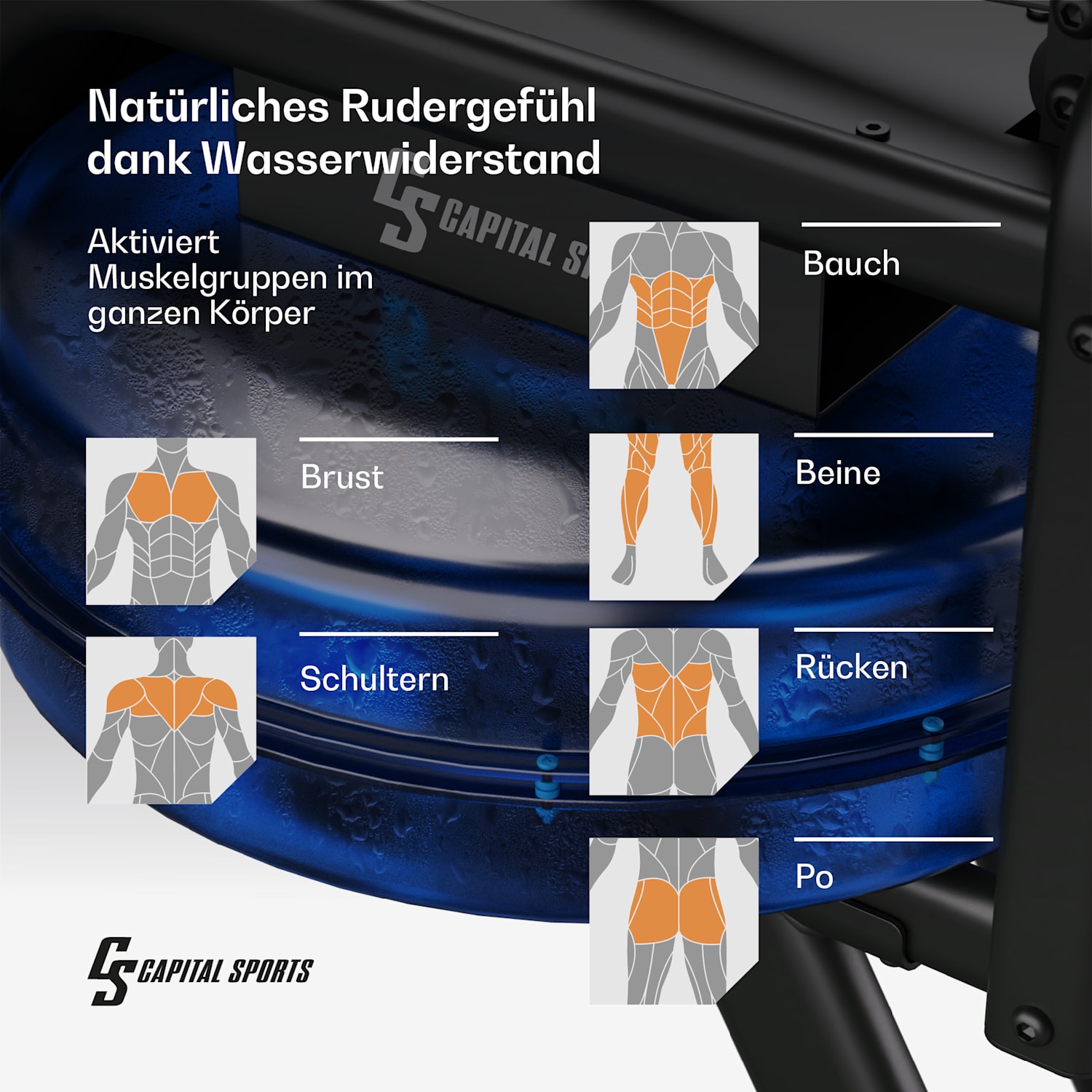 Oceanus Wasserrudergerät Ruderbank max. Gewicht: 135 kg Aluminium 