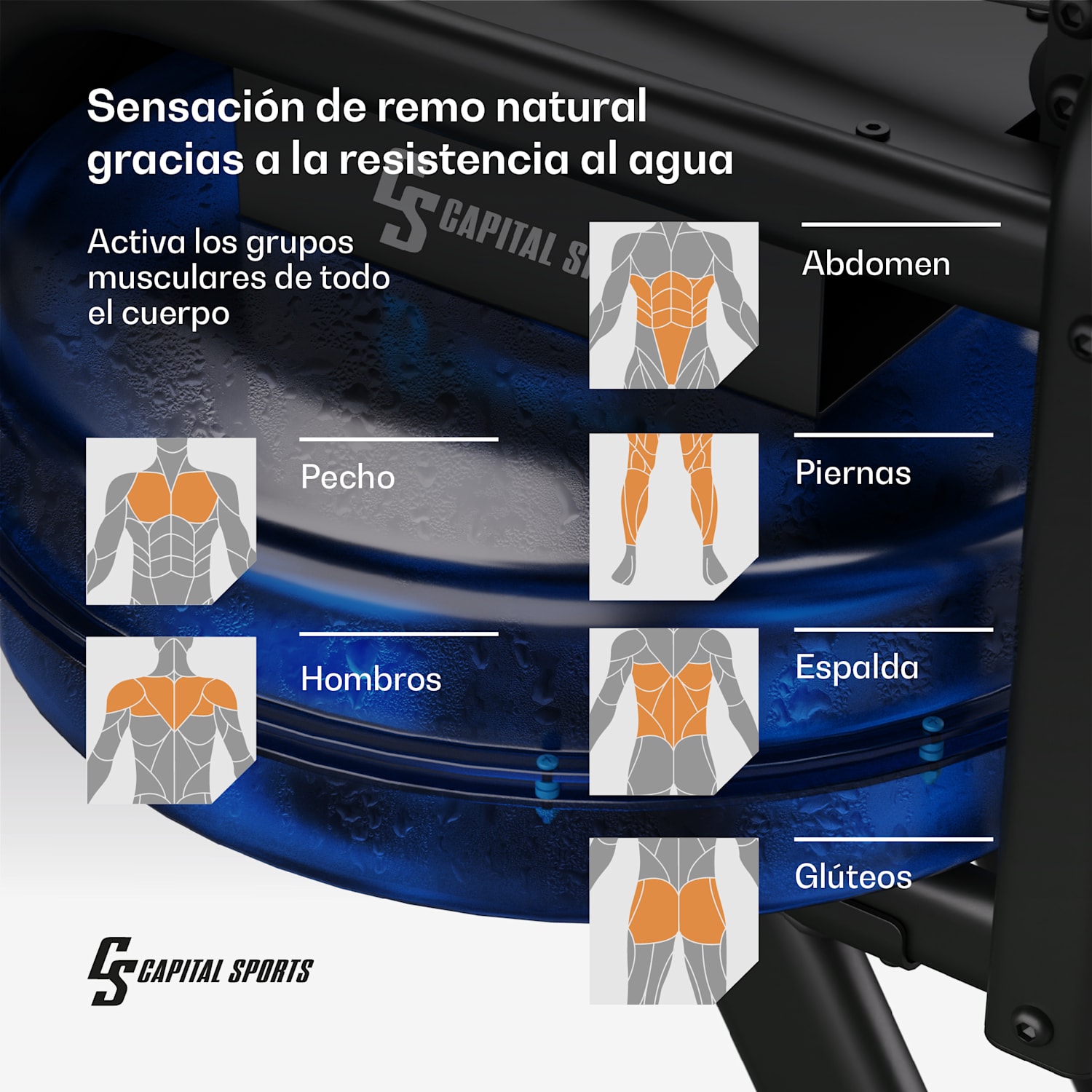 Máquina de remo acuática Oceanus Banco de remo Peso máx.: 135 kg Aluminio 