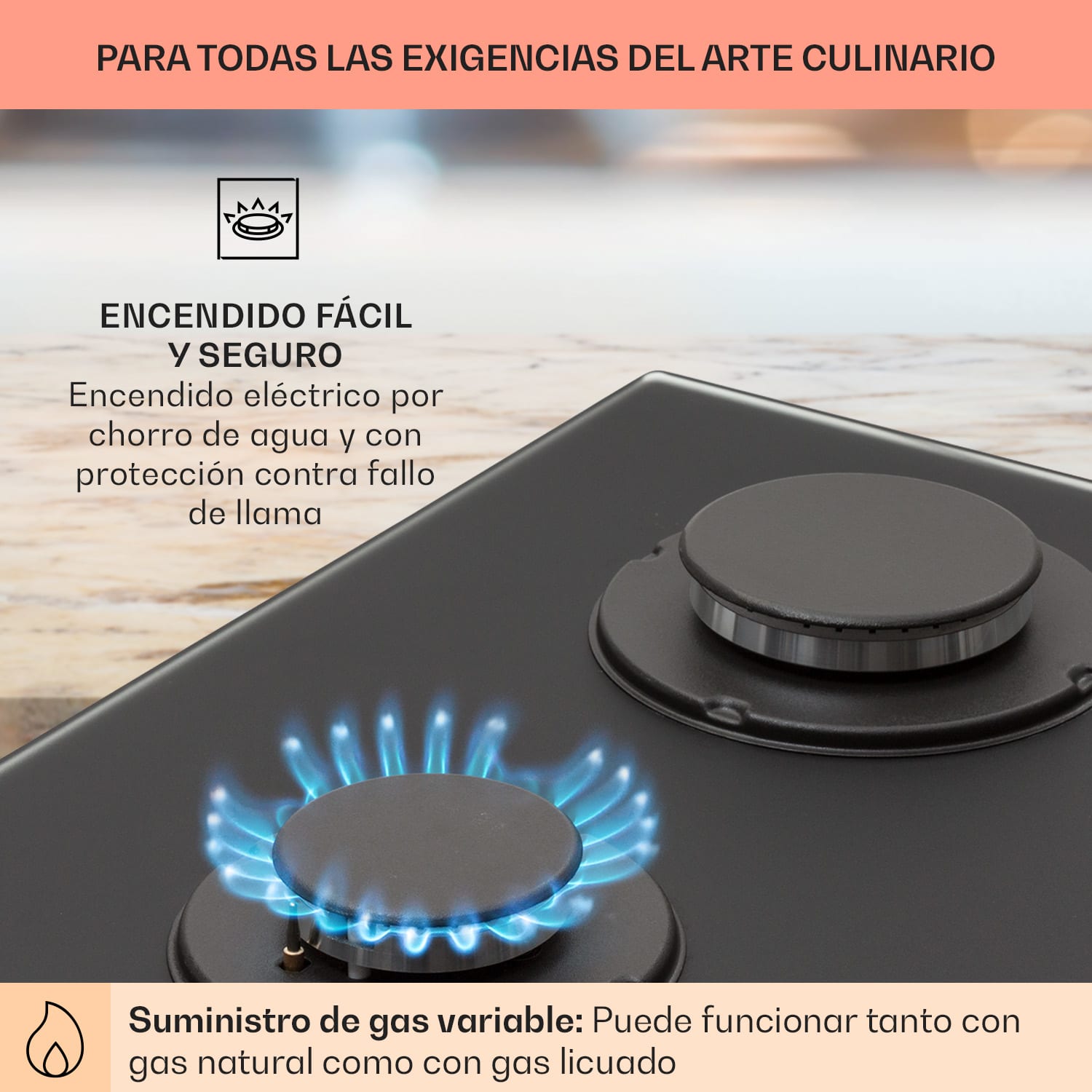 Firetale Placa de gas de 2 zonas Quemador de aluminio Gas natural/gas propano Incl. manguera y reductor de presión 30 cm | Cristal | Negro