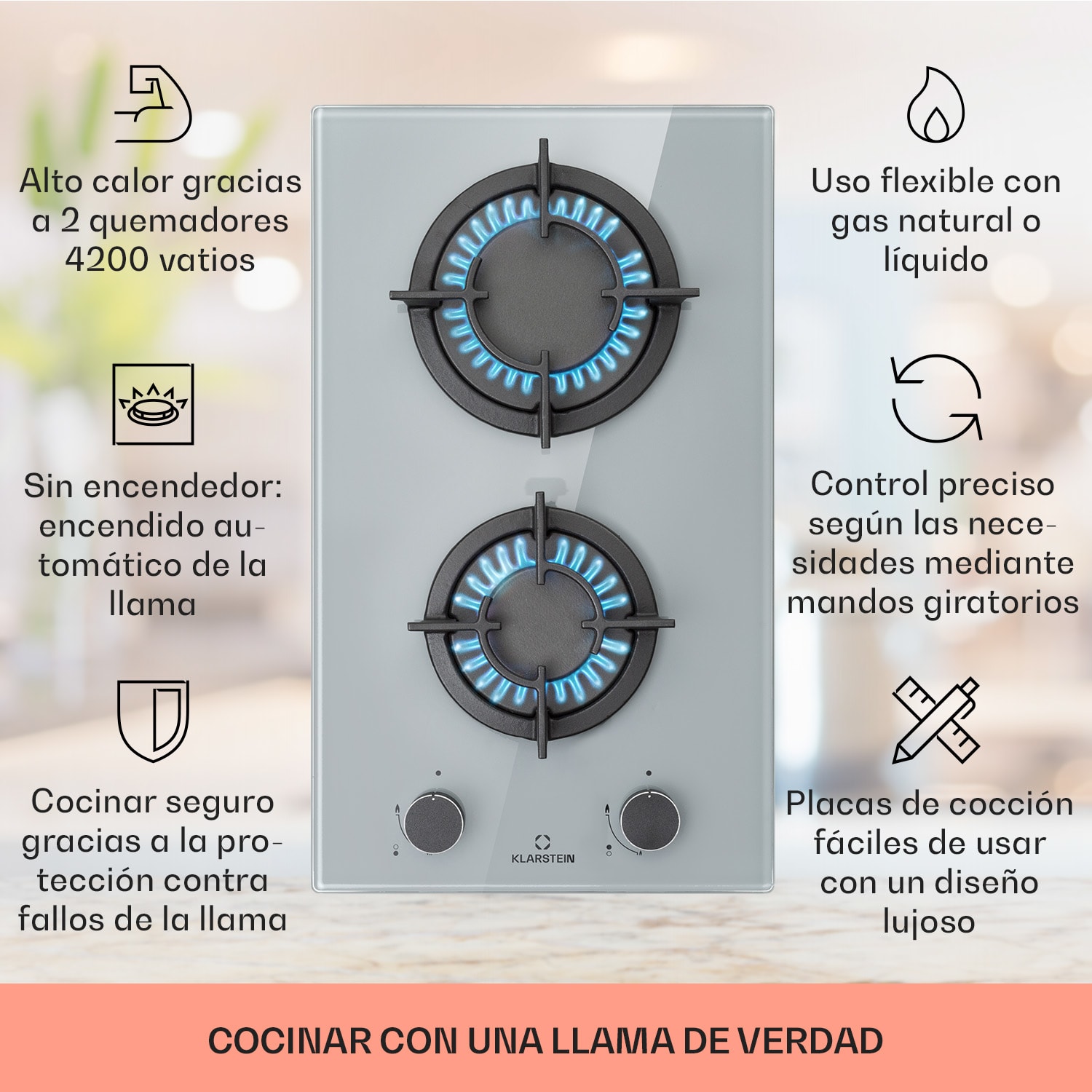 Firetale Placa de gas de 2 zonas Quemador de aluminio Gas natural/gas propano Incl. manguera y reductor de presión 30 cm | Cristal | Gris