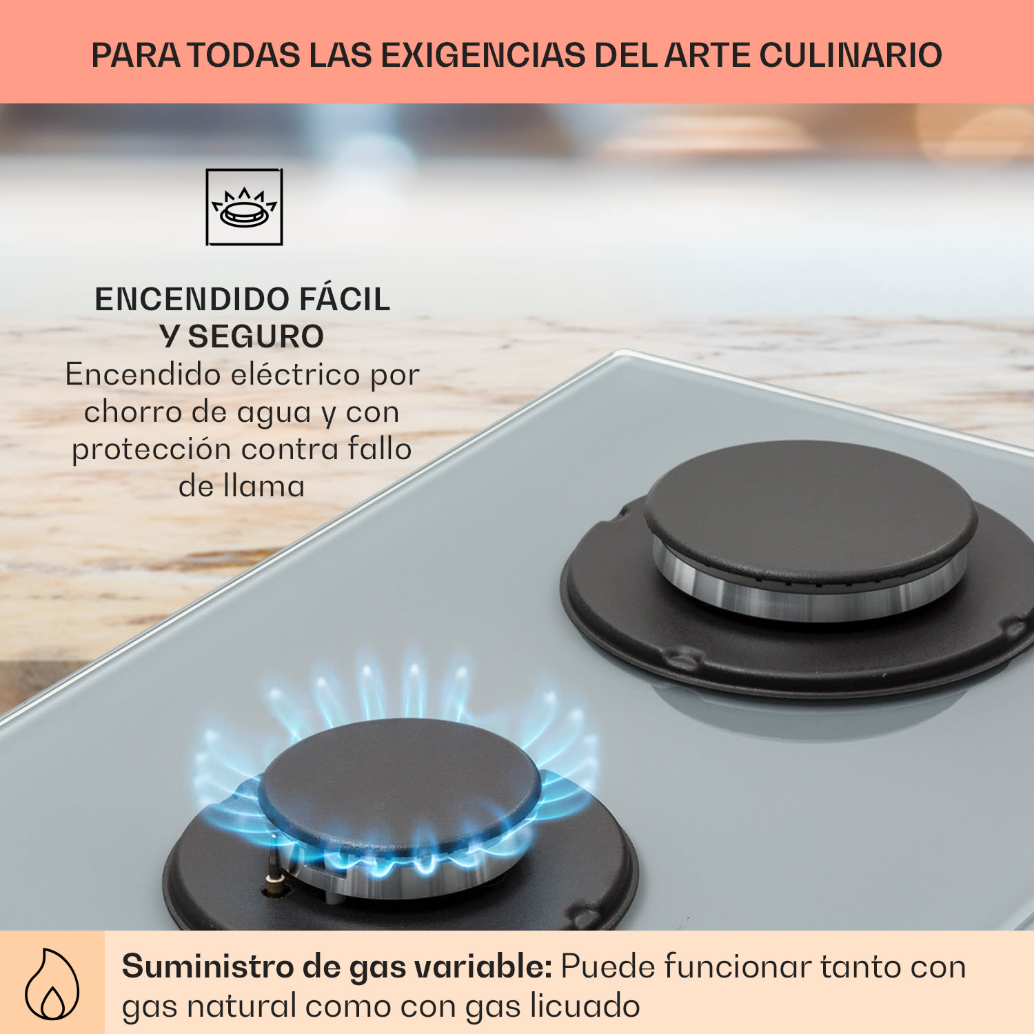 Firetale Placa de gas de 2 zonas Quemador de aluminio Gas natural/gas propano Incl. manguera y reductor de presión 30 cm | Cristal | Gris