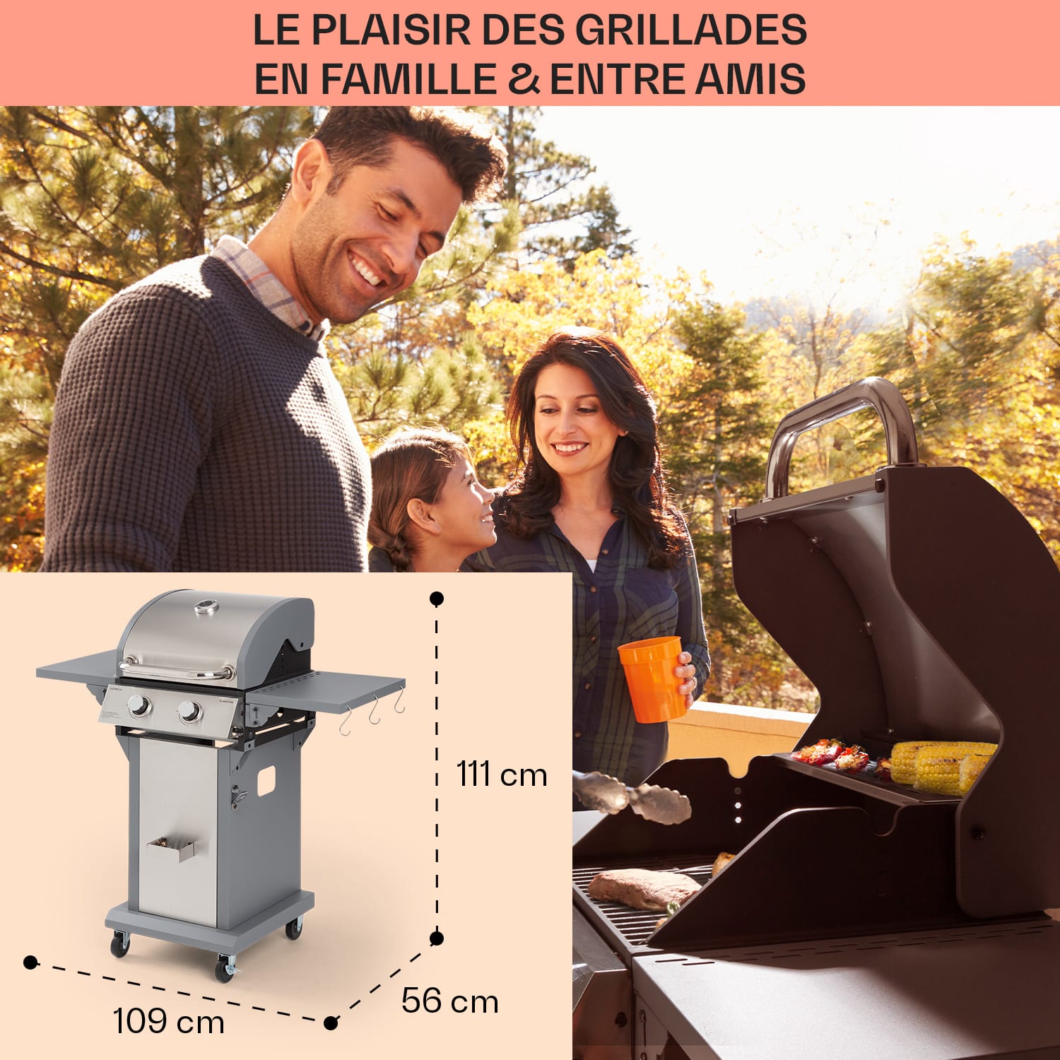 Lucifer 2 Barbecue à gaz 2 x brûleurs 3,6 kW 45 x 45 cm barbecue inox mobile 2 brûleurs | Acier Inoxydable