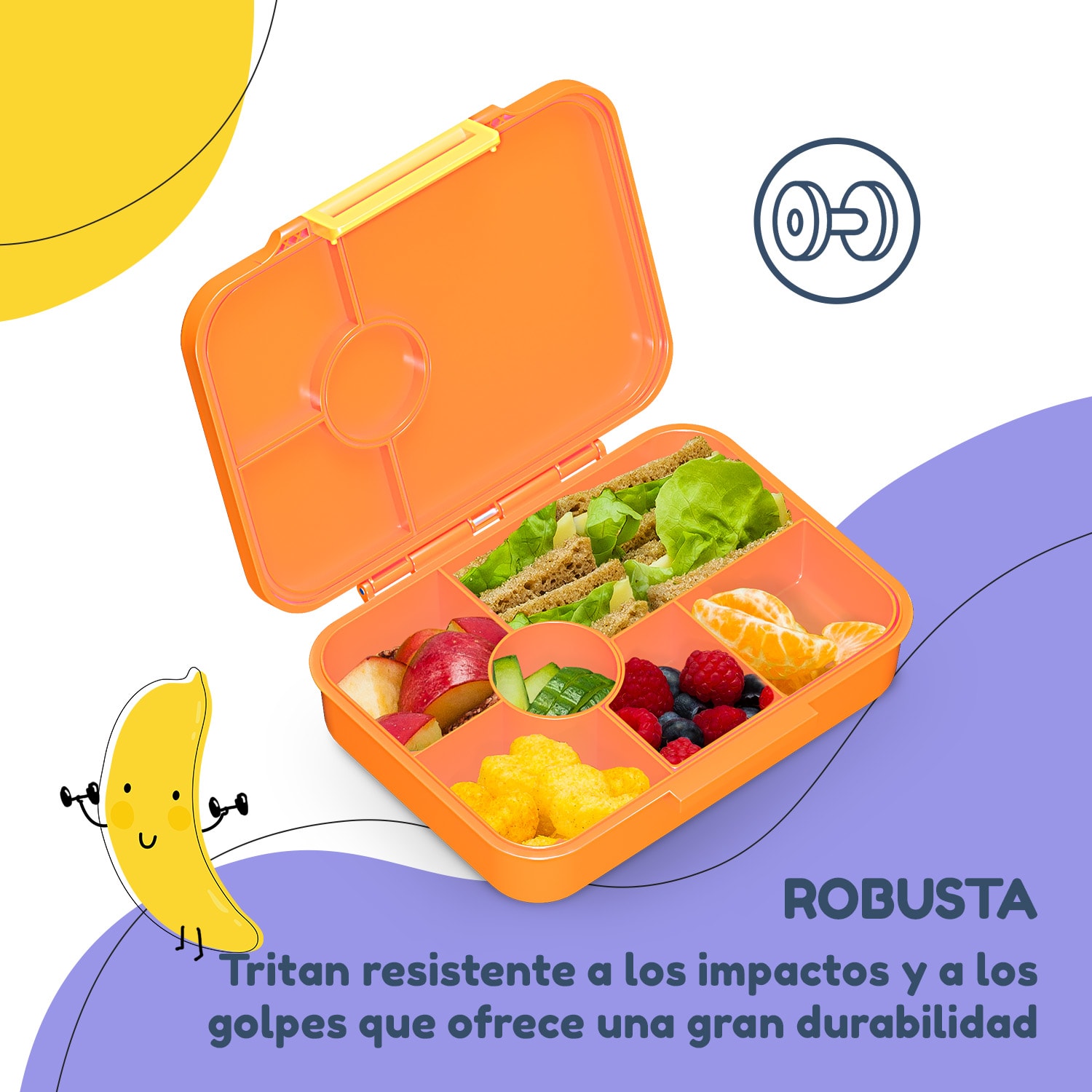 schmatzfatz by Lite Fiambrera 6 compartimentos 20,8 x 4,5 x 15 cm (ancho x alto x fondo) Sin BPA Tritán superligero Orange Forest