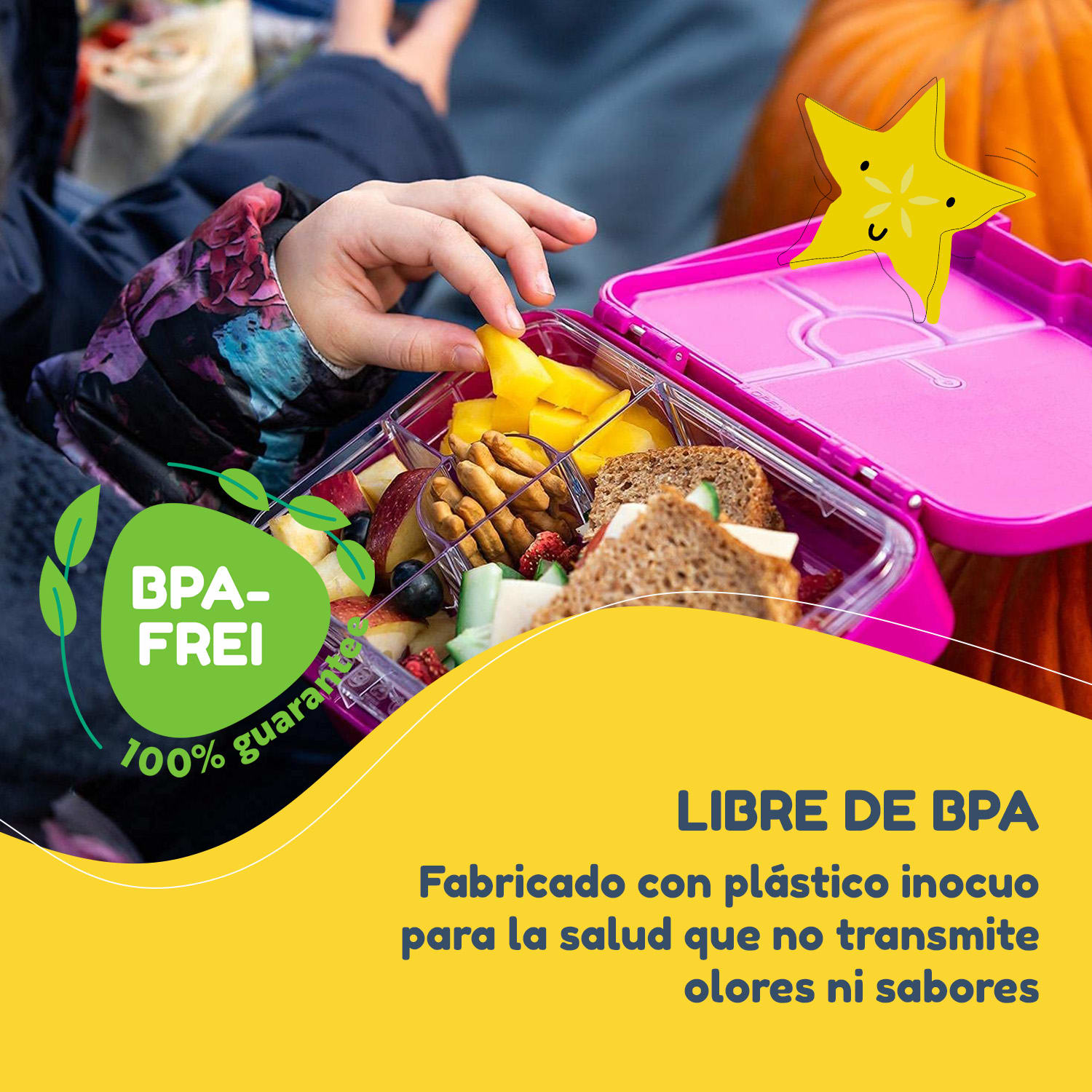 fiambrera junior 6 compartimentos 21,3 x 15 x 4,5 cm Sin BPA 