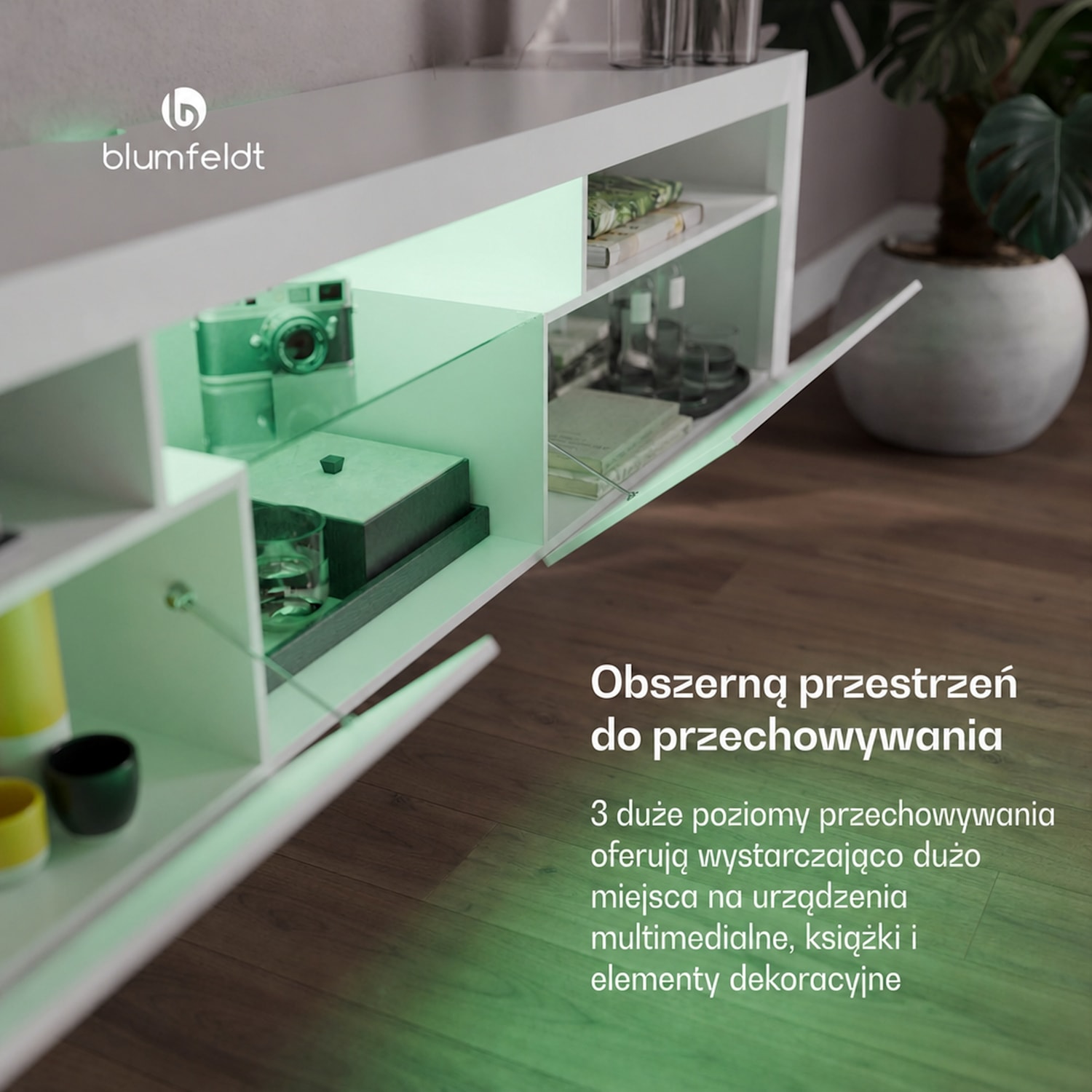 Elgin niska szafka pod telewizor, 150 x 30 x 40 cm, LED 150 x 30 x 40 cm | Biały
