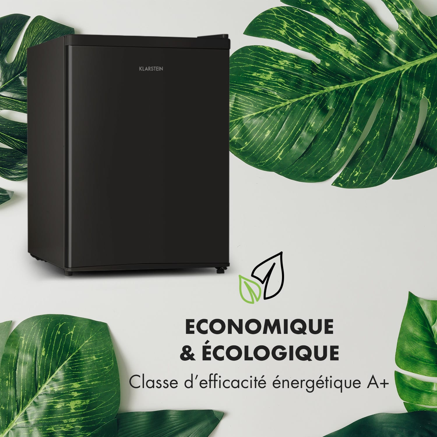 Cool Kid Mini-réfrigérateur avec compartiment congélateur 4 L 66 litres 41dB Noir