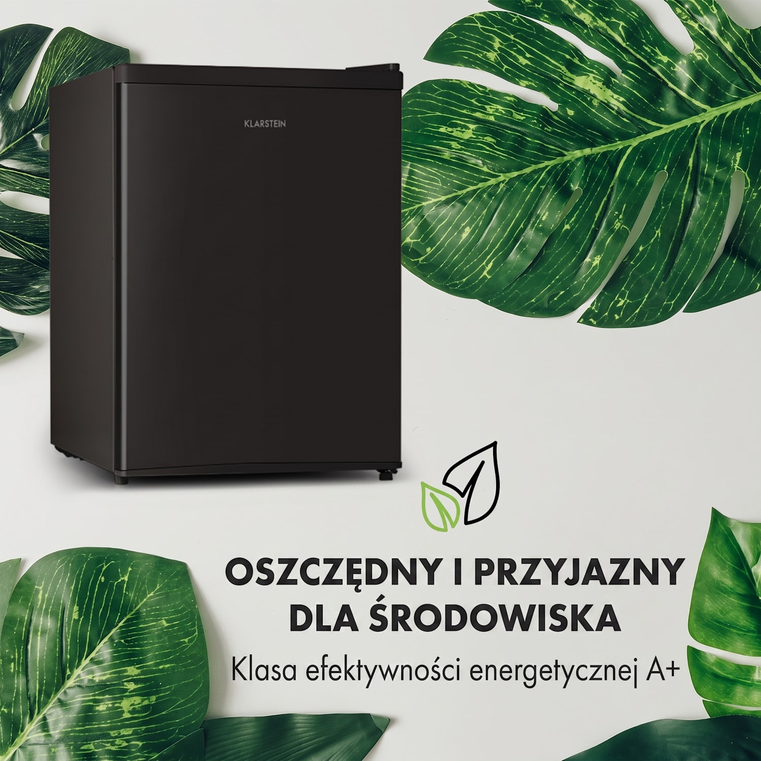 Cool Kid, mini lodówka z zamrażalnikiem, 43 l/4 l, klasa energetyczna F, 41 dB Črna