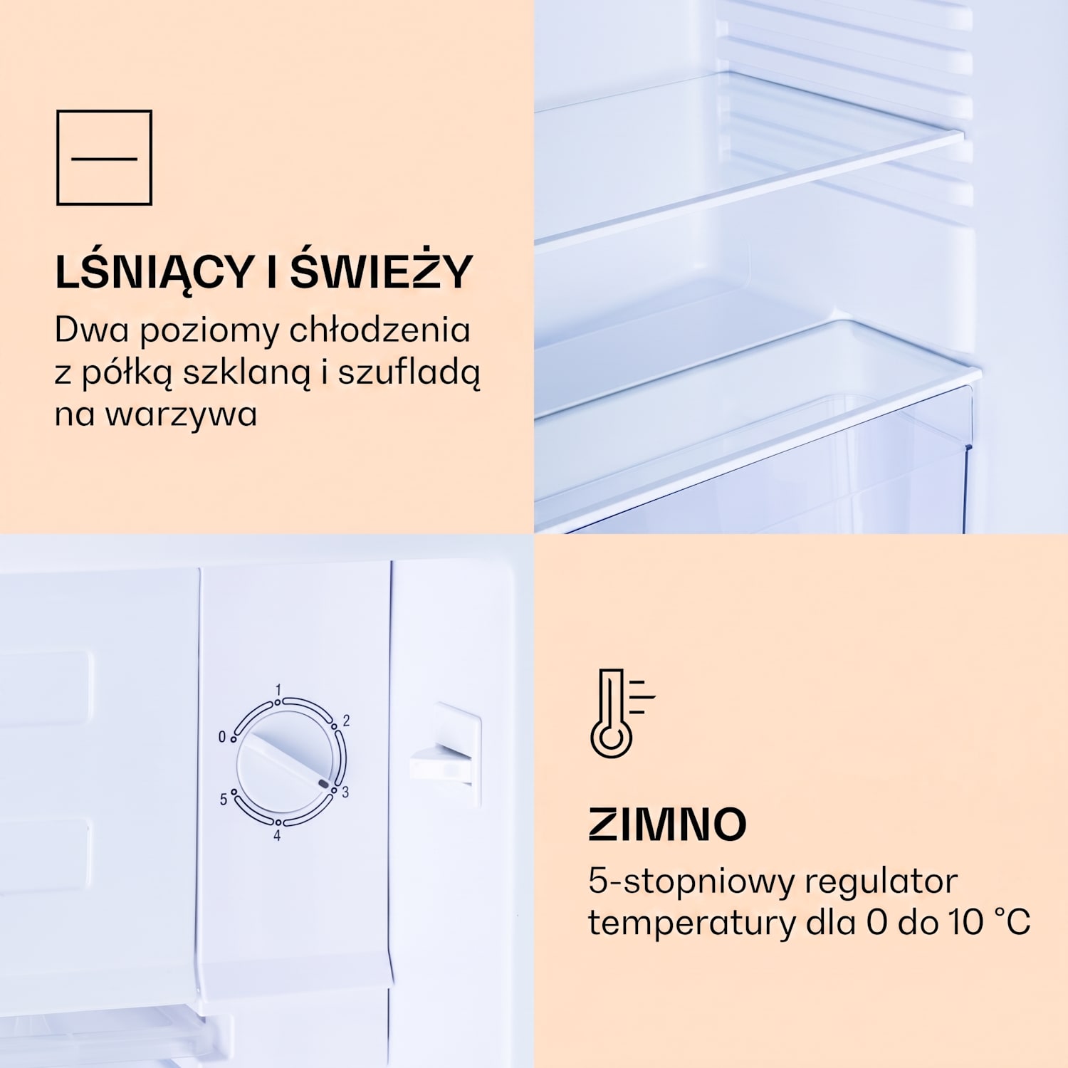 CoolArt 79L, chłodziarko-zamrażarka, klasa efektywności elektrycznej E, komora zamrażarki 9 l, designerskie drzwi 