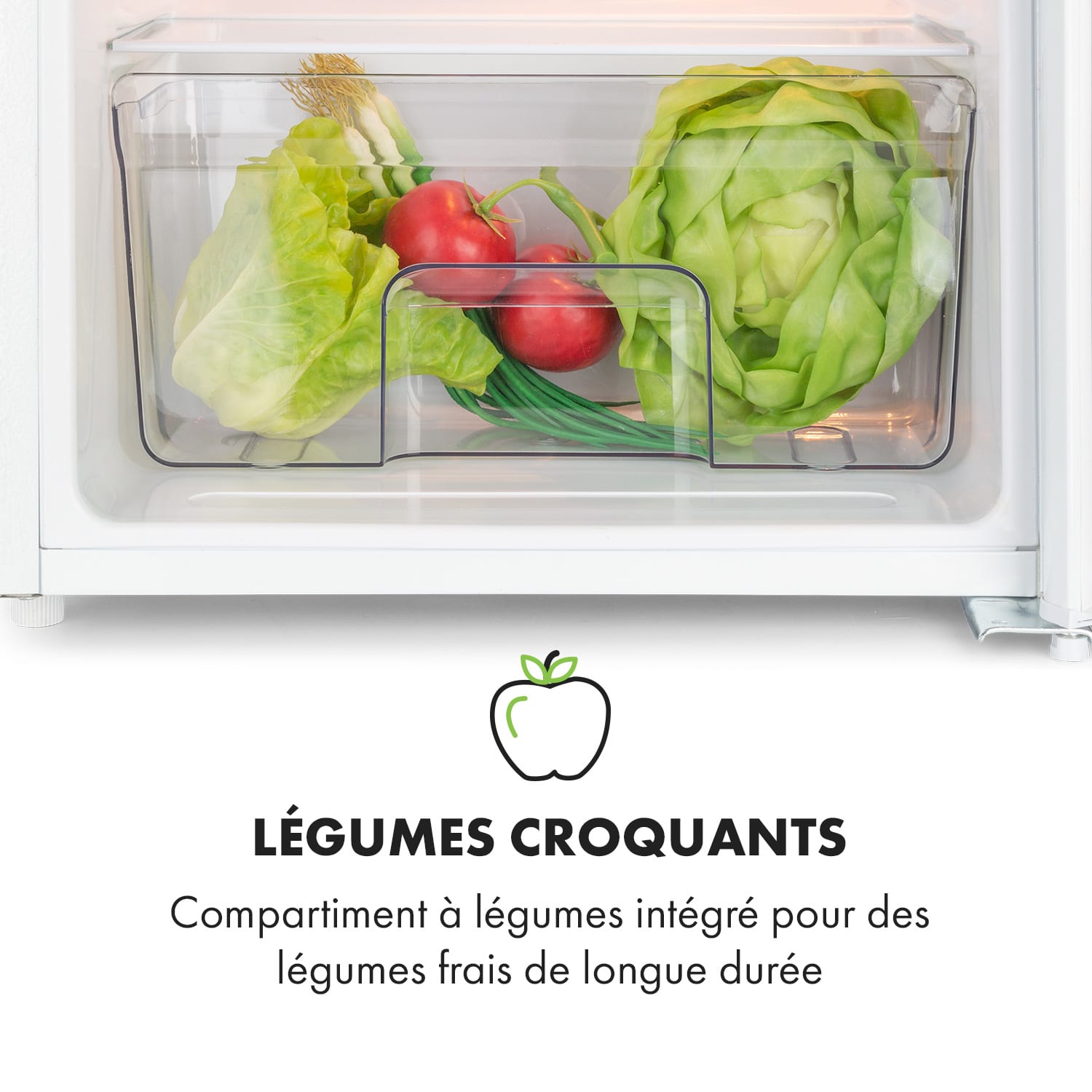 Spitzbergen Uni Koelkast 91 liter 10-liter vriesvak 2 plateaus 