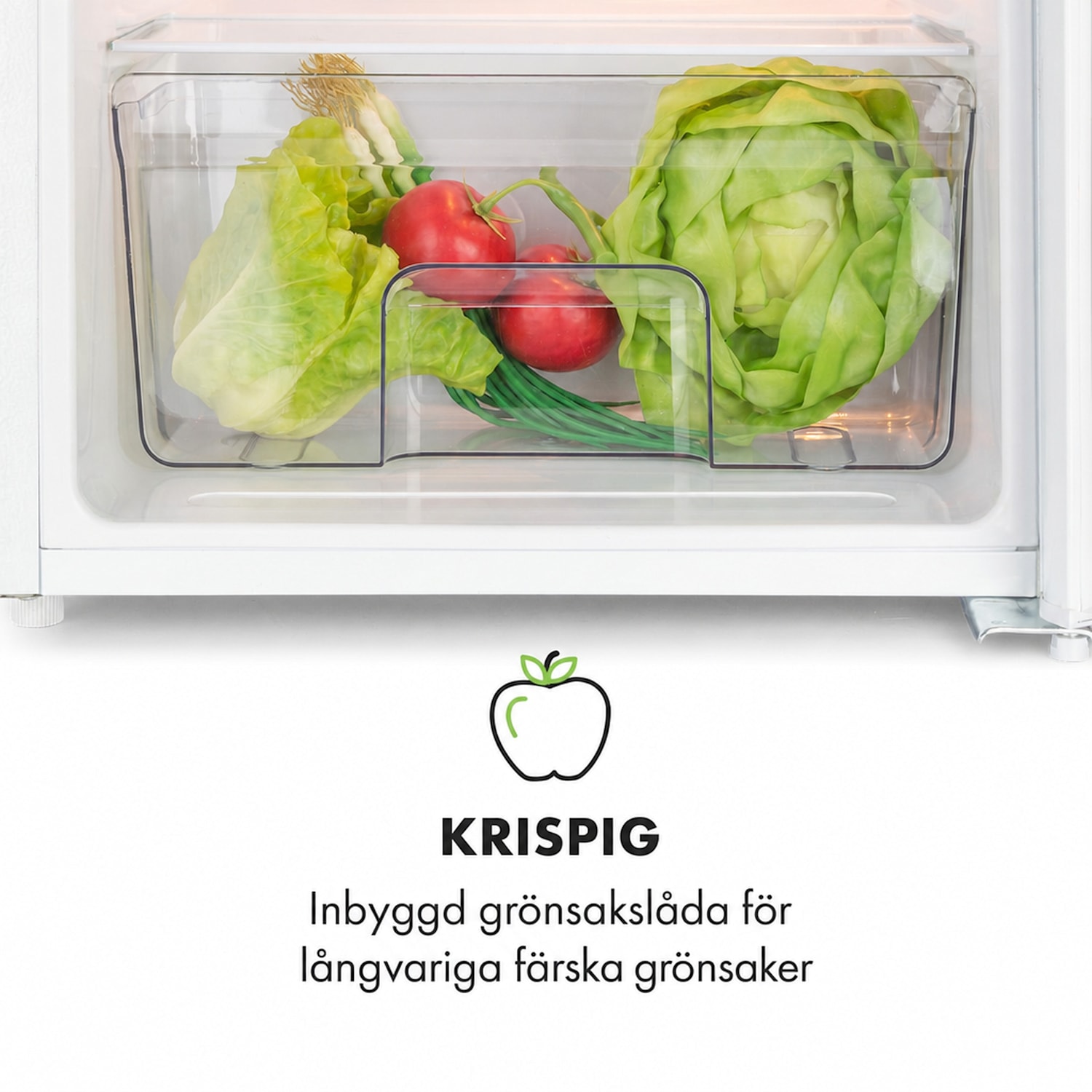 Spitsbergen Uni Kylskåp 91 liter 10 liters frysfack 2 hyllor 