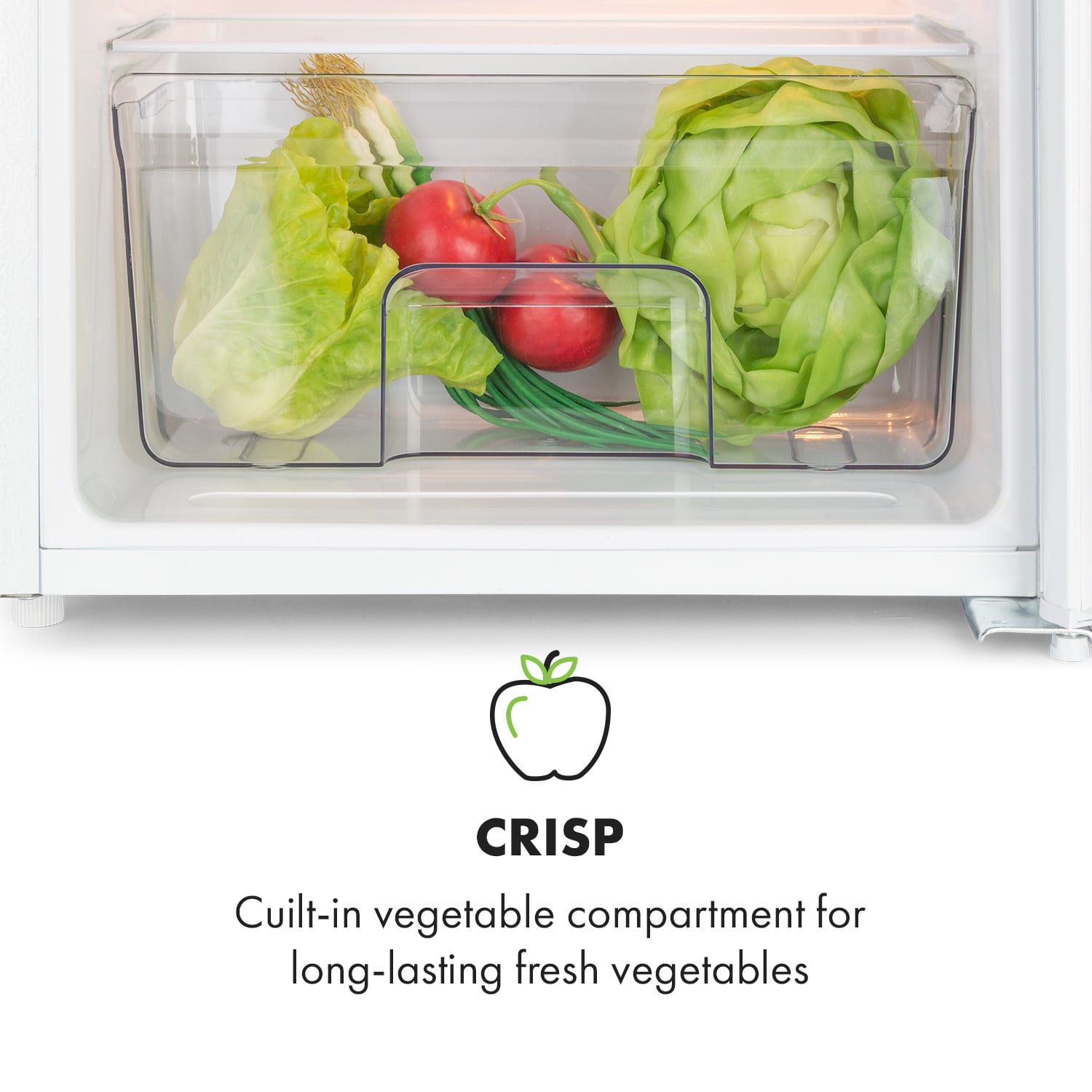 Spitzbergen Uni Fridge 91 litres 10-litre freezer compartment 2 shelves 
