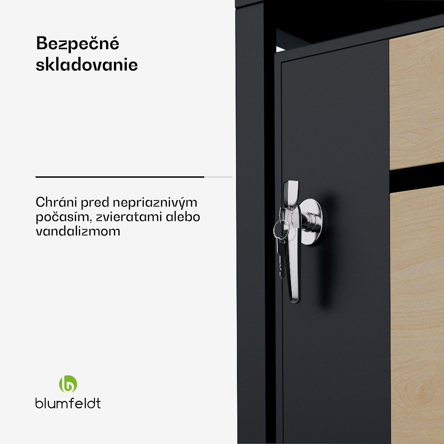 BinSafe, box na odpadky, 1 odpadkový kôš, 240 l, uzamykateľný, pozinkovaná oceľ odolná voči poveternostným vplyvom
