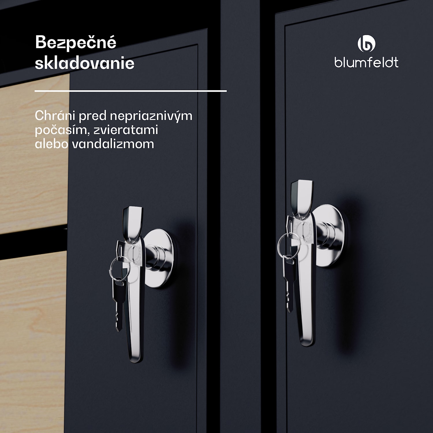 BinSafe, box na odpadky, 2 odpadkové koše, 240 l, uzamykateľný, pozinkovaná oceľ odolná voči poveternostným vplyvom 