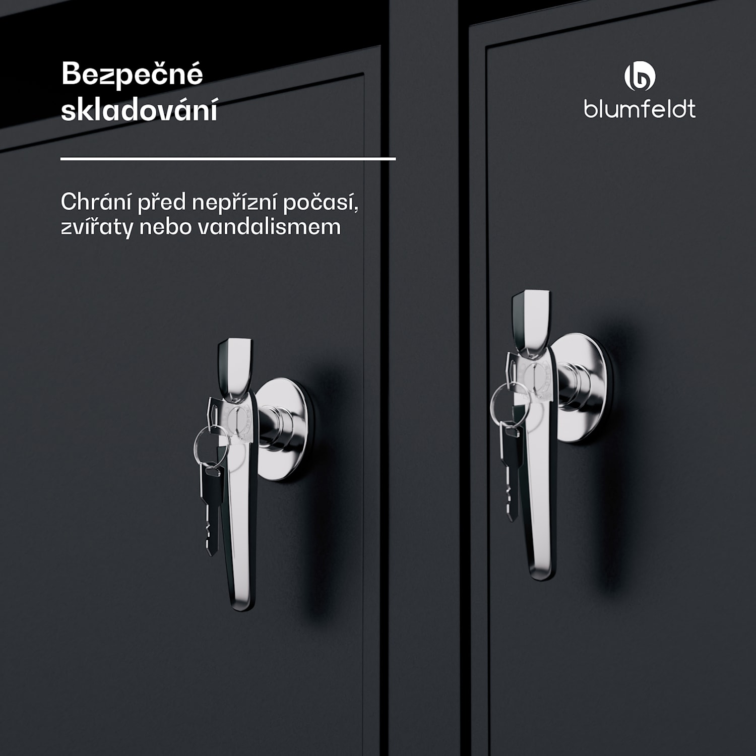 BinSafe, box na odpadky, 2 odpadkové koše, 240 l, uzamykatelný, pozinkovaná ocel odolná vůči povětrnostním vlivům 