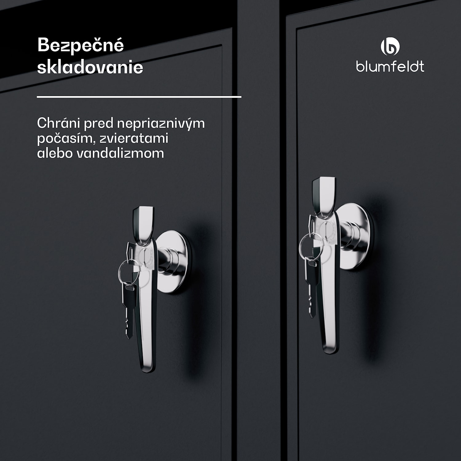 BinSafe, box na odpadky, 2 odpadkové koše, 240 l, uzamykateľný, pozinkovaná oceľ odolná voči poveternostným vplyvom 