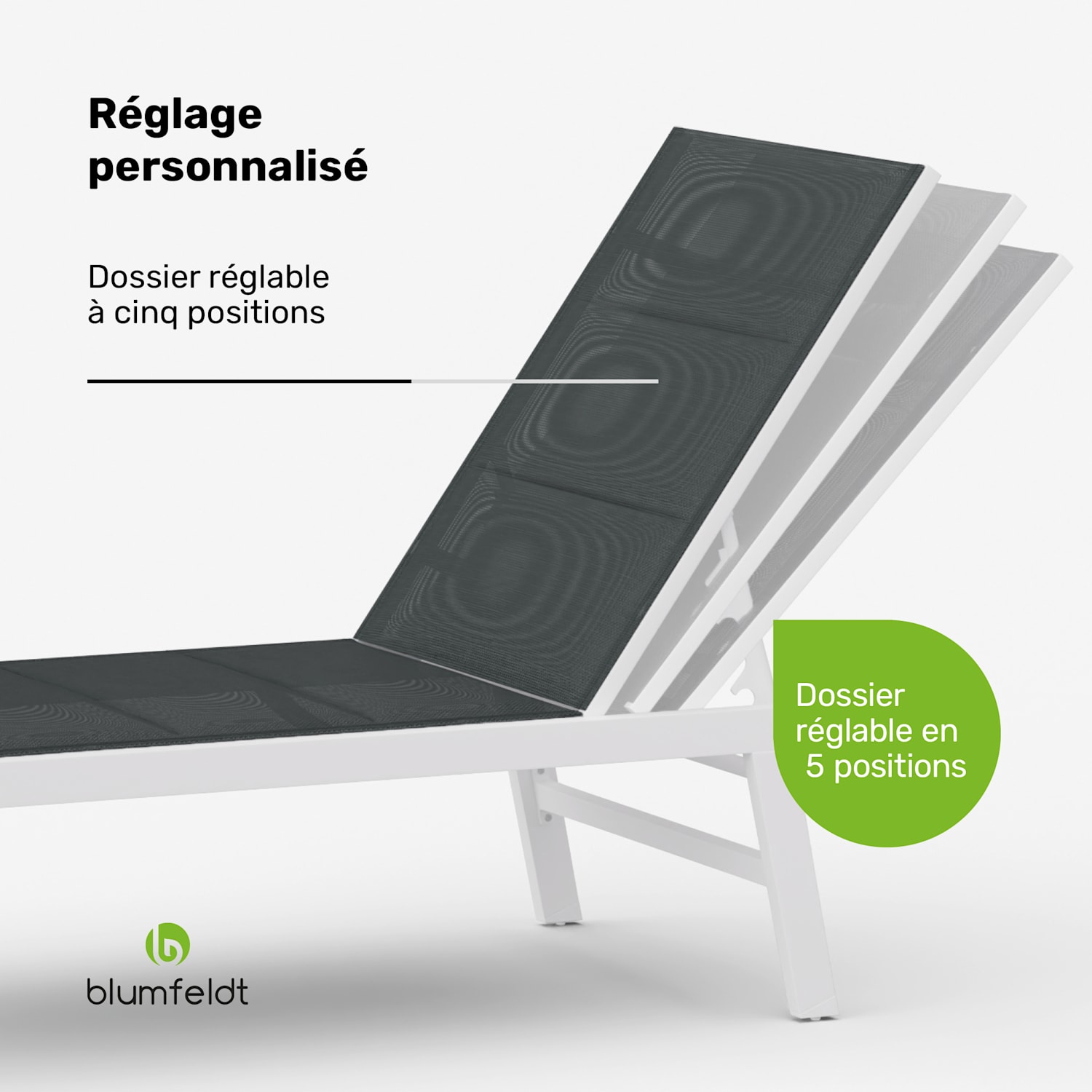 Lounger Renazzo XXL Chaise longue capacité de charge 160 kg 5 positions hydrofuge 