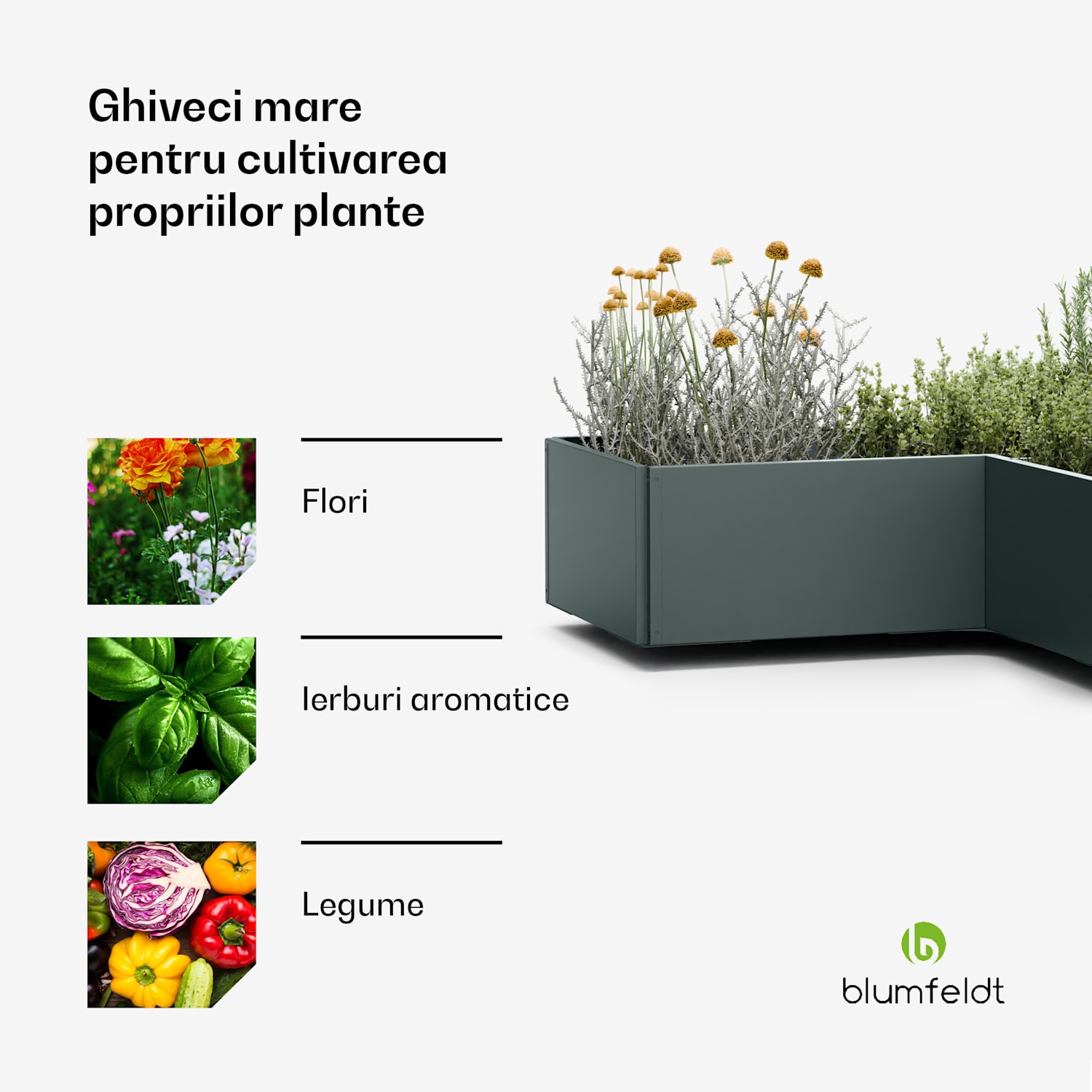 Ghiveci supraînălțat Versagrow cu 8 module, formă individuală, grosime 1 mm, oțel inoxidabil 8 | Verde de pădure