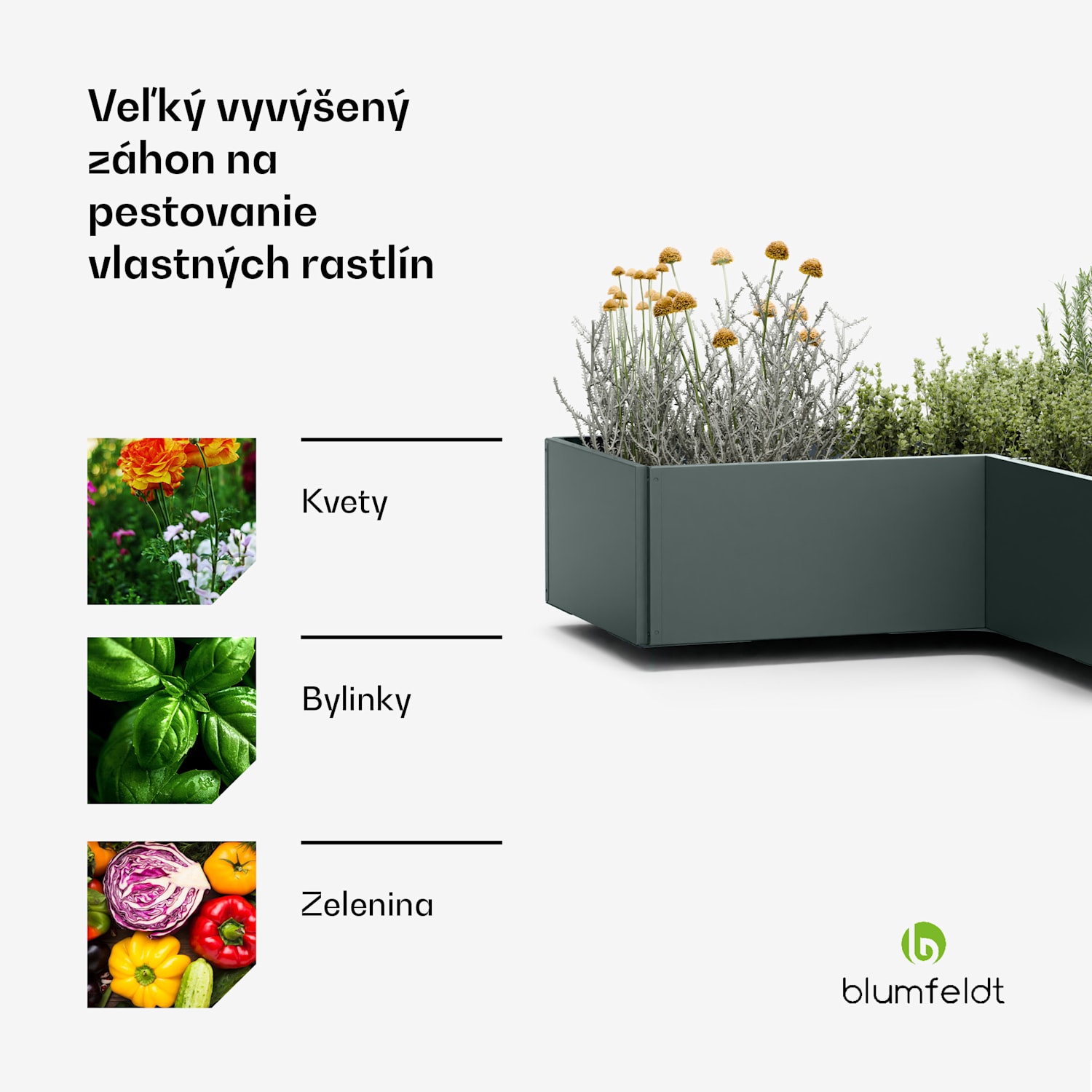 Versagrow vyvýšený záhon s 8 modulmi, individuálny tvar, hrúbka 1 mm, nehrdzavejúca oceľ 8 | Lesná zeleň