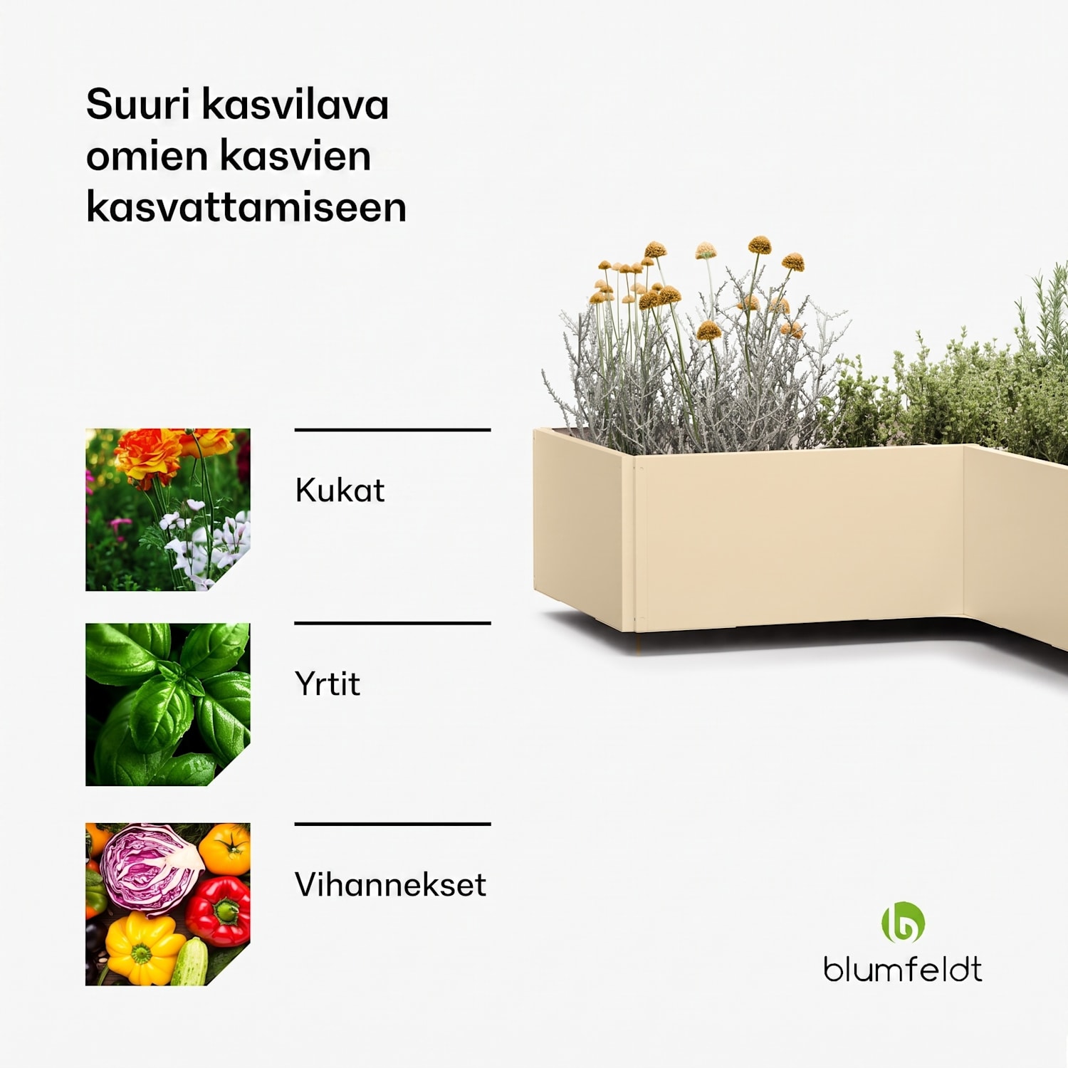 blumfeldt Versagrow -viljelylaatikko kahdeksalla osalla yksilöllinen muoto ja työskentelykorkeus 1 mm 8 | Vintage Kerma