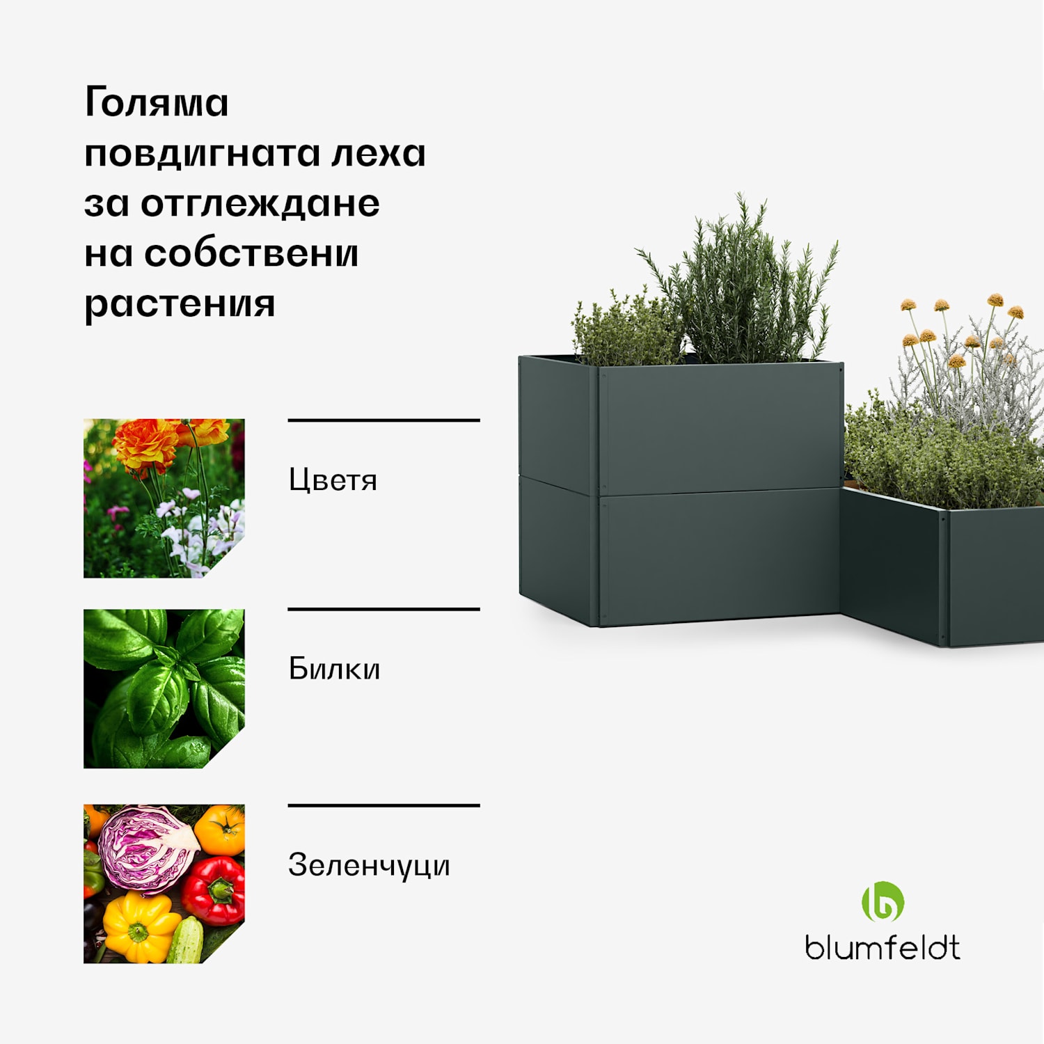 Повдигната леха Versagrow с 12 модула, индивидуална форма, дебелина 1 мм, неръждаема стомана 12 | Горска зеленина