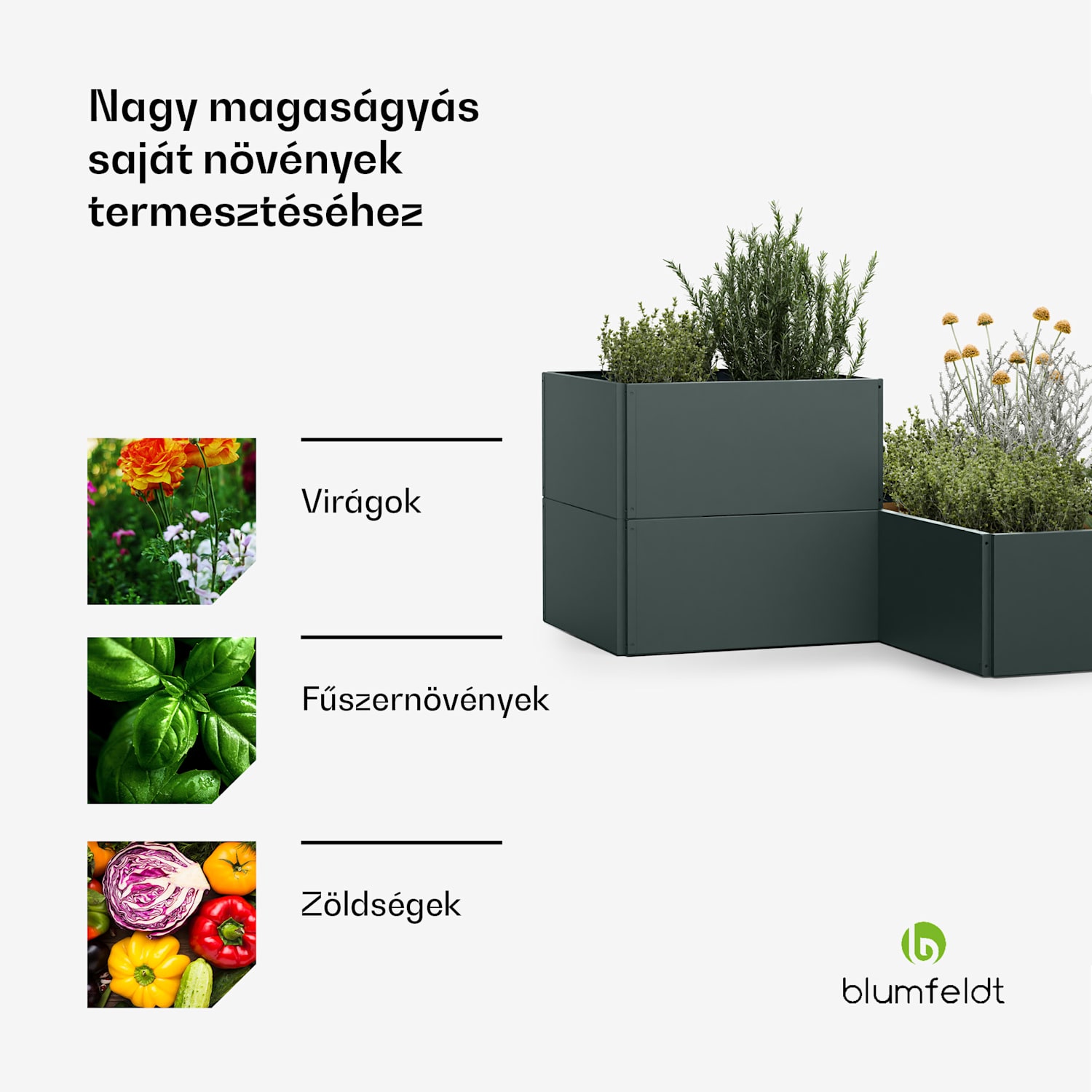 Versagrow magaságyás 12 modullal, egyedi forma, 1 mm vastagság, rozsdamentes acél