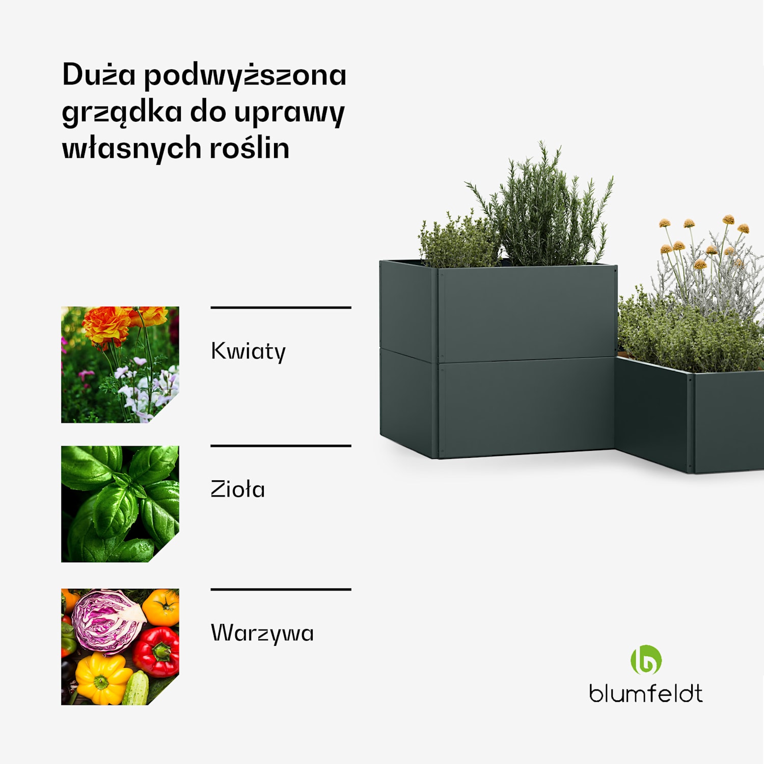 Versagrow podwyższana grządka z 12 modułami, indywid. kształt, stal nierdzewna o grubości 1 mm 12 | Zieleń Leśna