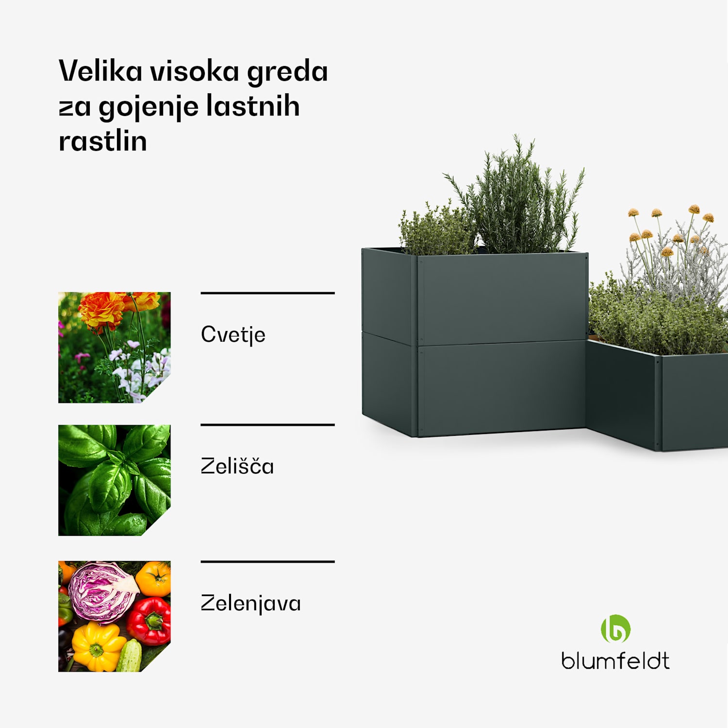 Versagrow dvignjena greda z 12 moduli, individualna oblika, debelina 1 mm, nerjaveče jeklo 12 | Gozdno zelenje