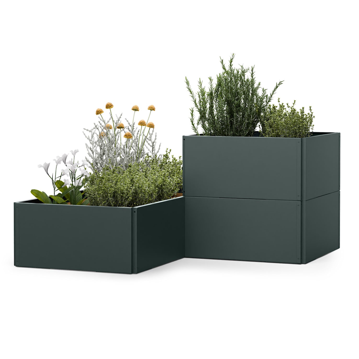 Versagrow magaságyás 12 modullal, egyedi forma, 1 mm vastagság, rozsdamentes acél 