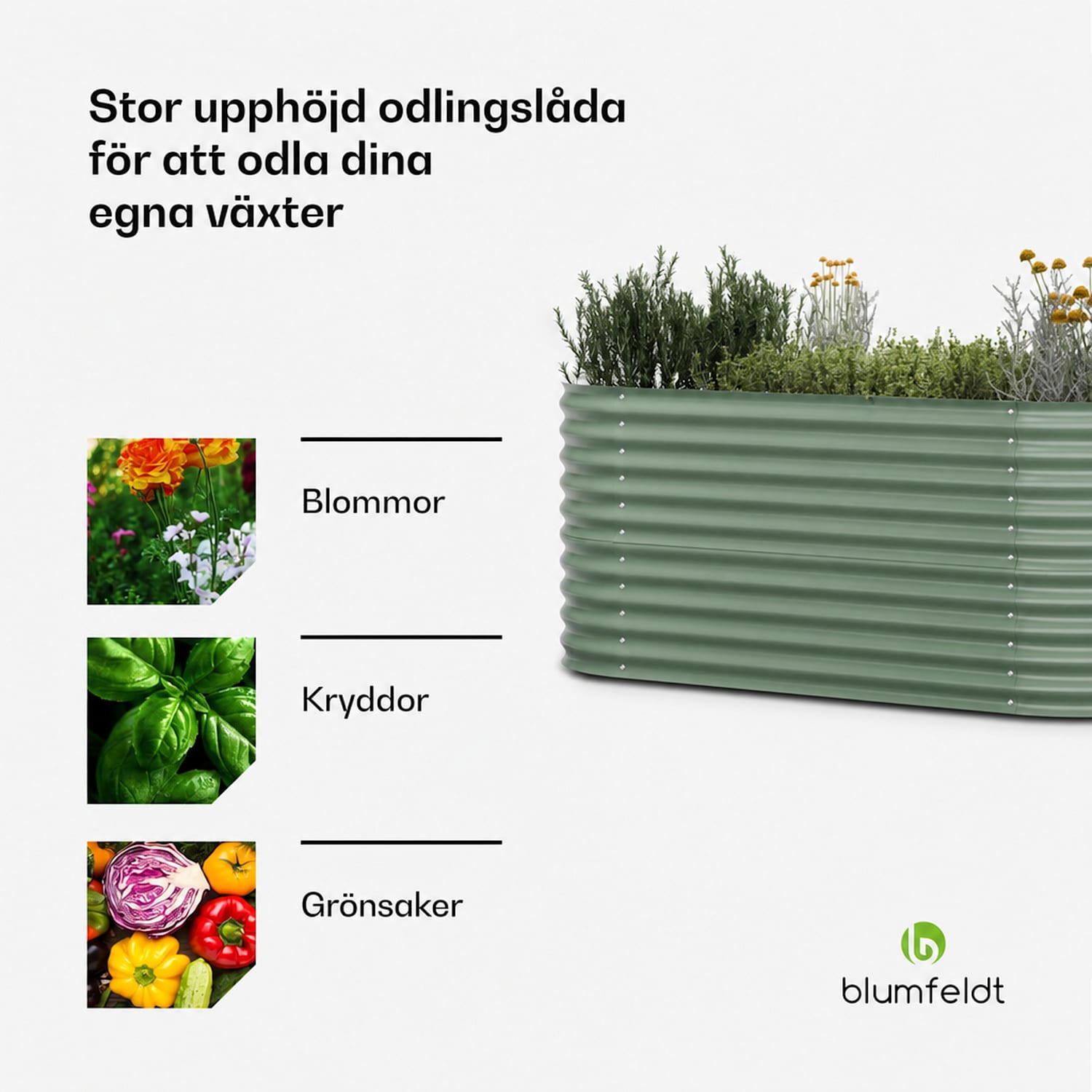High Grow upphöjd odlingsbädd, 200 x 80 x 100 cm, tillverkad av korrugerad stålplåt, enkel montering, rost- och frostbeständig 200 x 100 x 80 cm | Grön