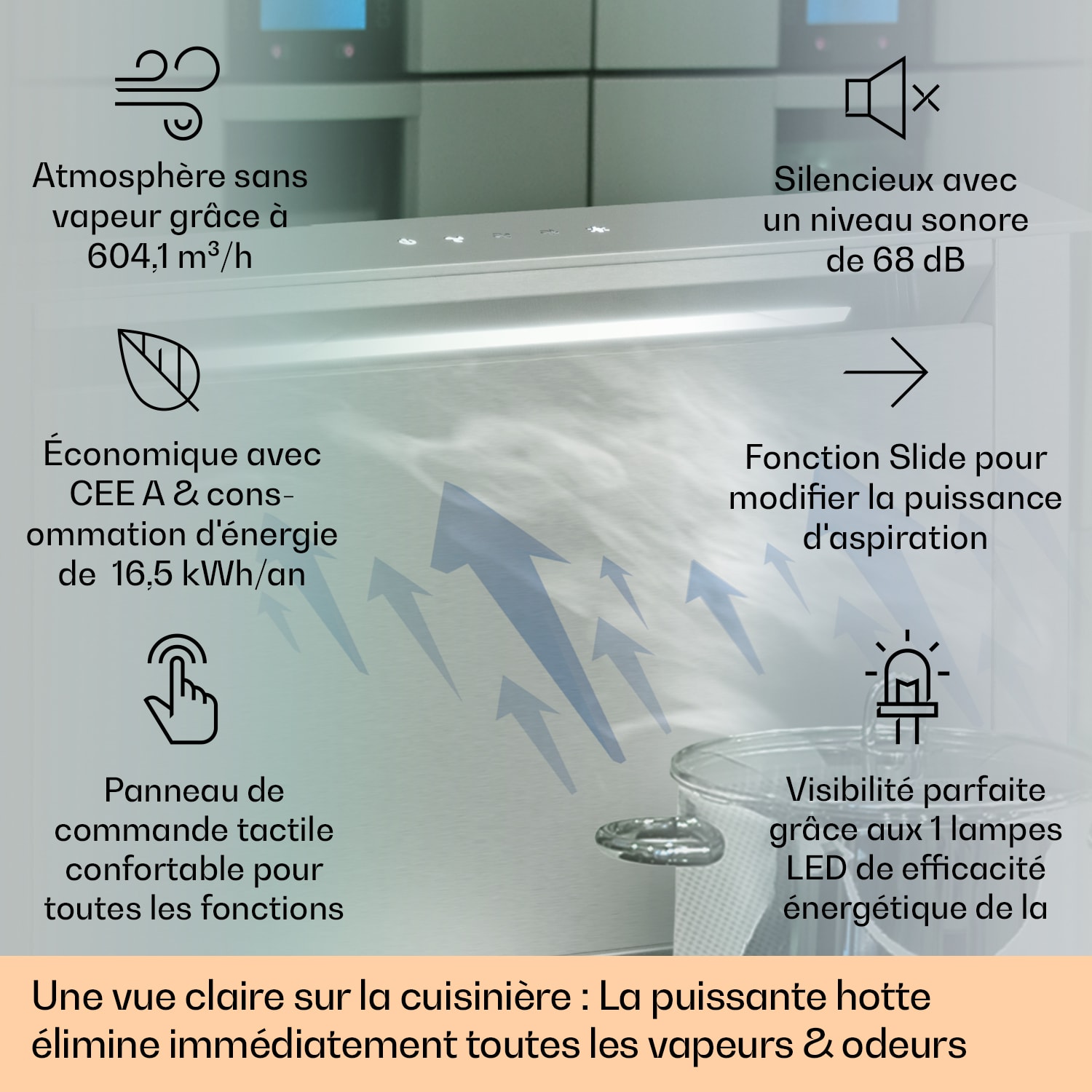 Hotte aspirante Royal Flush Eco 60 cm 604 m³/h A+ 60 cm | Acier Inoxydable | Acier Inoxydable
