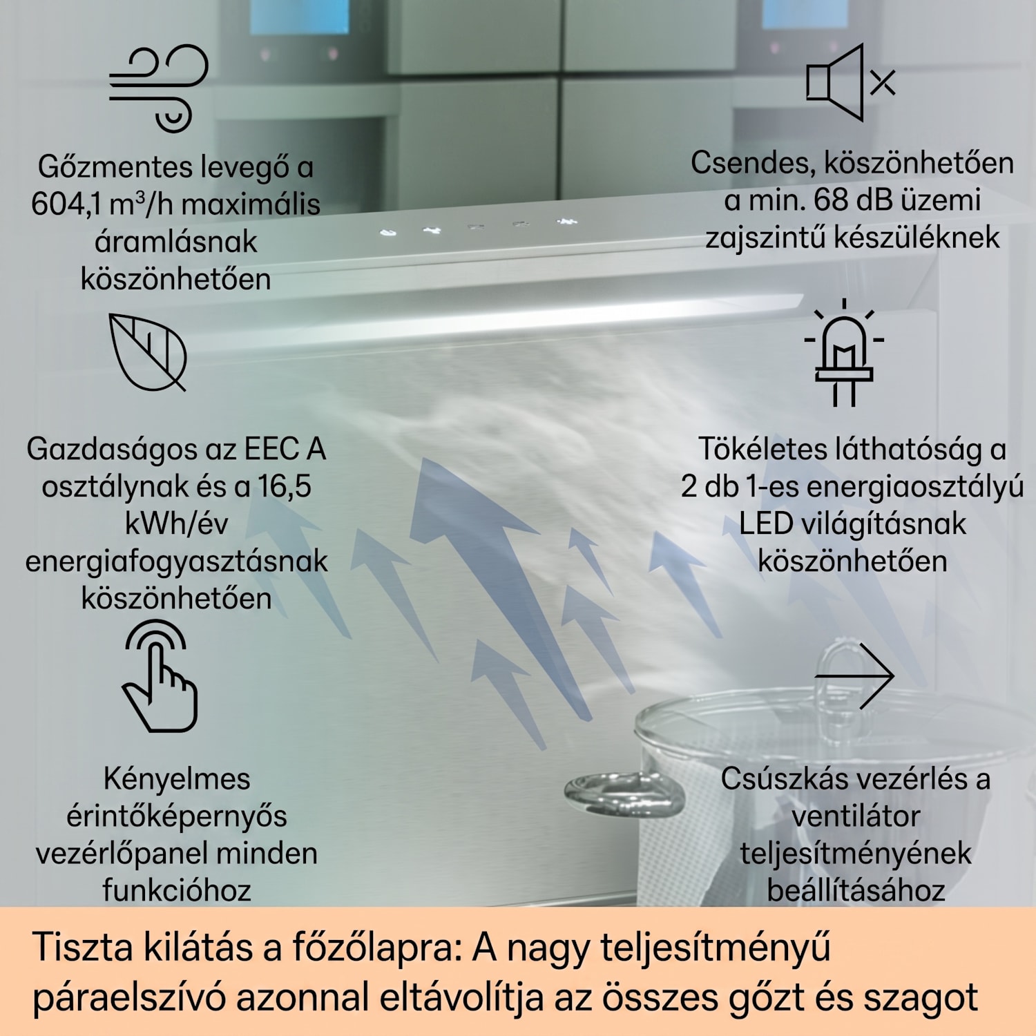 Royal Flush Eco, motorháztető, 60 cm, 604 m³/h, A+ 60 cm | Rozsdamentes acél | Rozsdamentes acél
