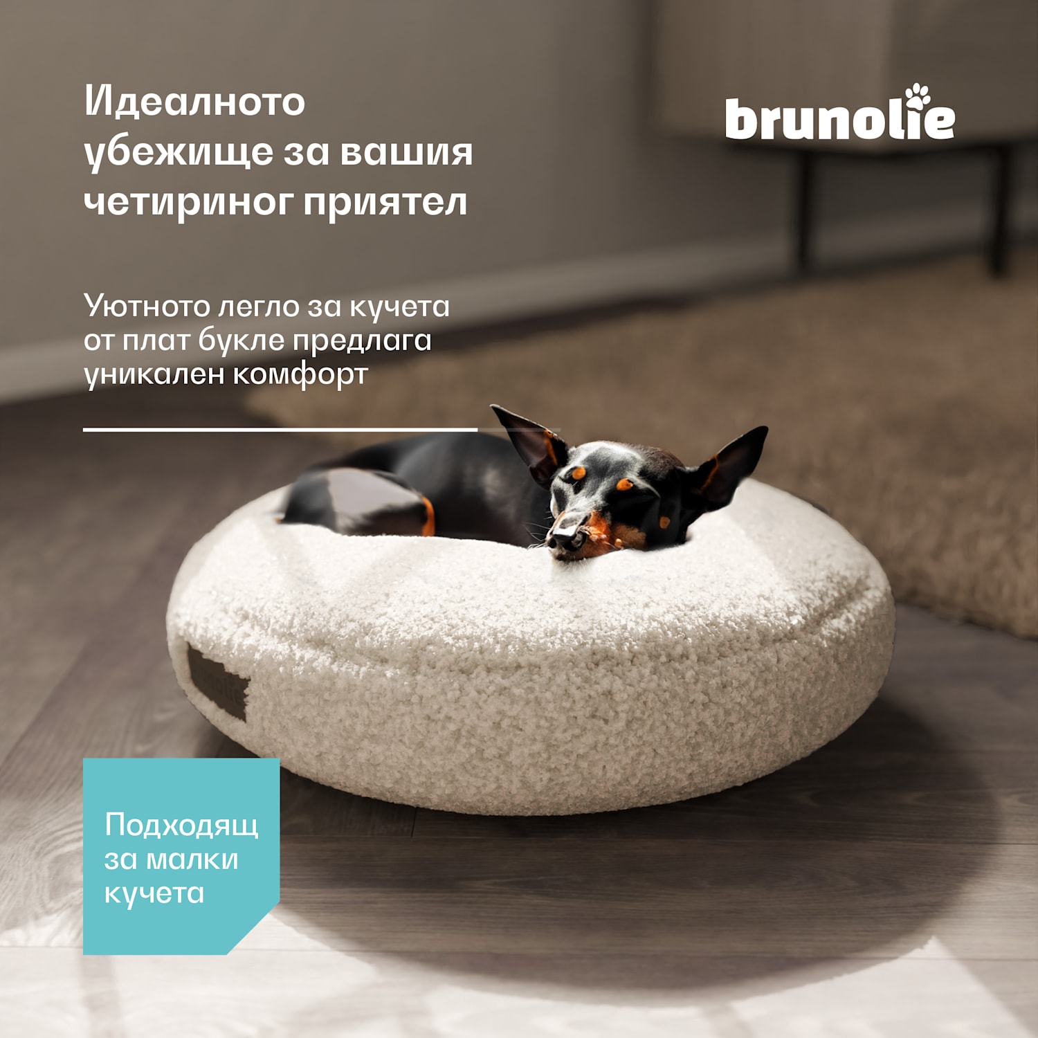 Легло за кучета SnugNest Ø50 cm, за малки кучета, дръжка за носене, нехлъзгащо се Ø 50 cm | Средно сив