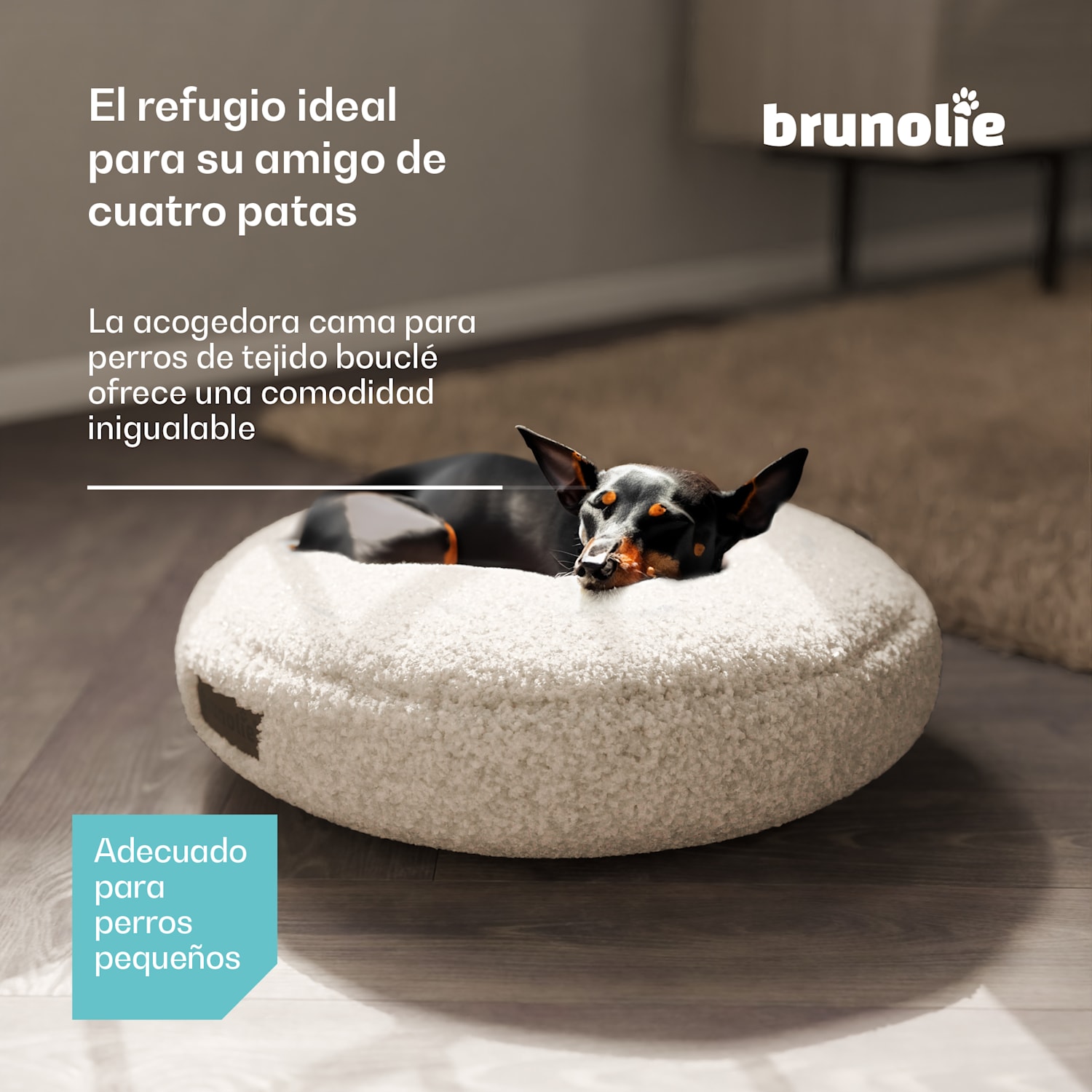 Cama para perros SnugNest Ø50 cm | para perros pequeños | asa de transporte | antideslizante Ø 50 cm | Gris Medio