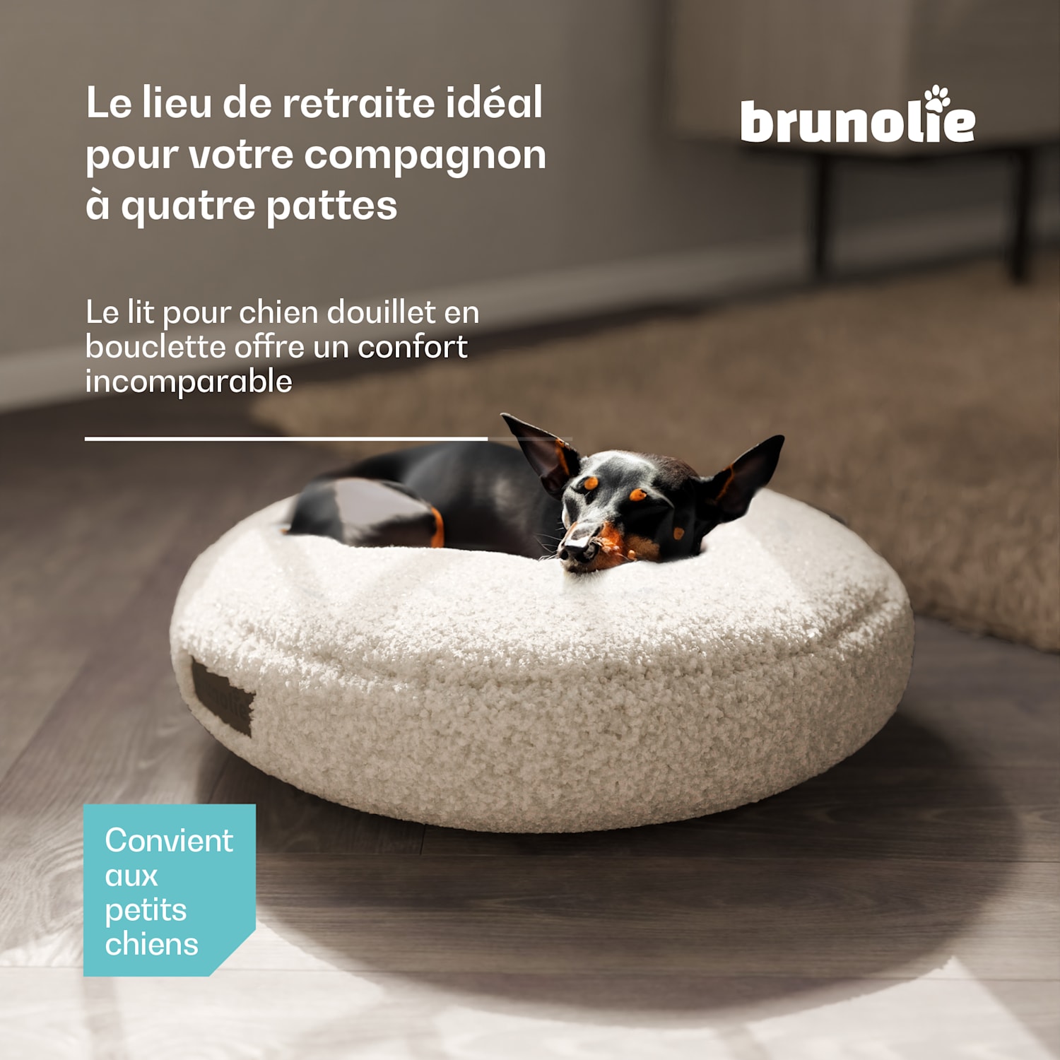 SnugNest Lit pour chien Ø50 cm | pour petits chiens | poignée de transport | antidérapant Ø 50 cm | Gris Moyen
