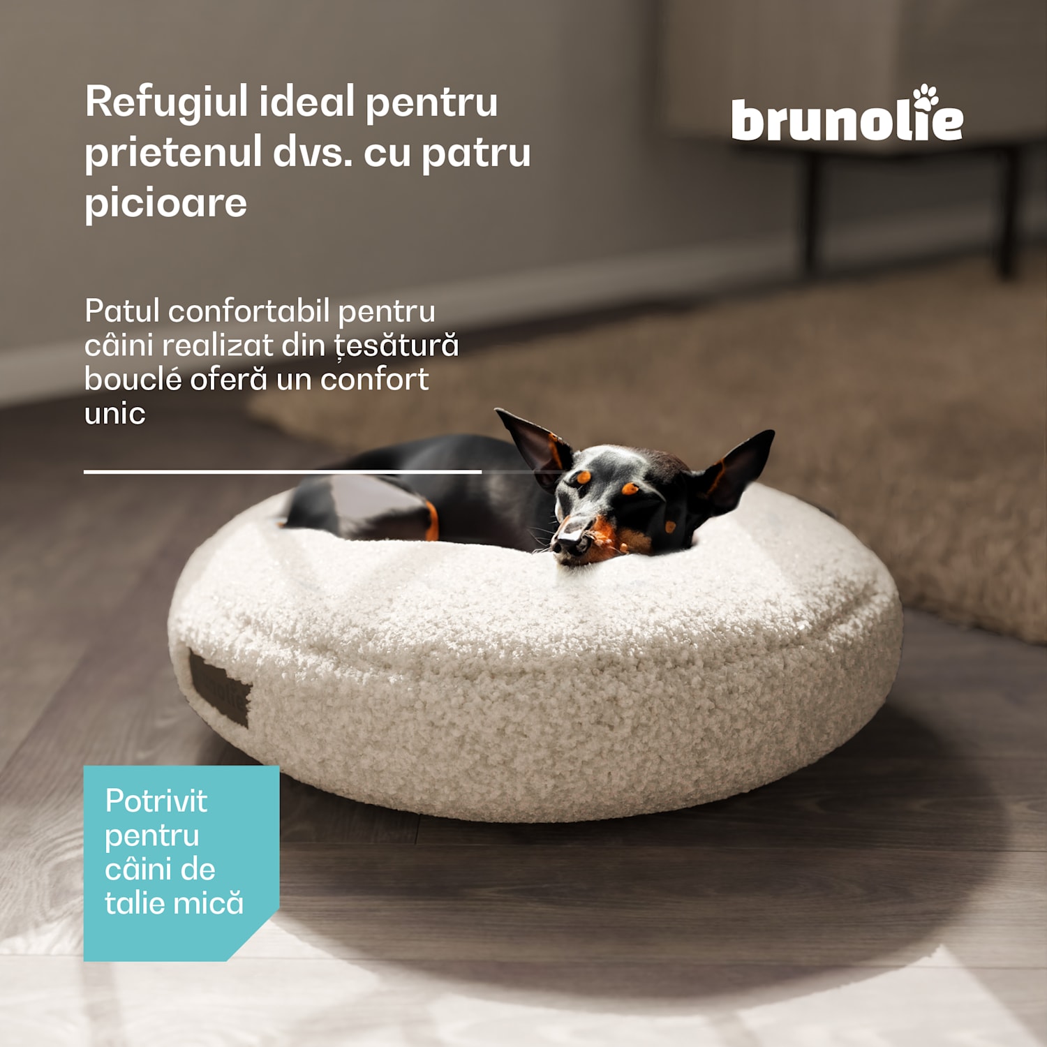 Patul pentru câini SnugNest Ø50 cm, pentru câini mici, mâner de transport, antiderapant Ø 50 cm | Gri mediu