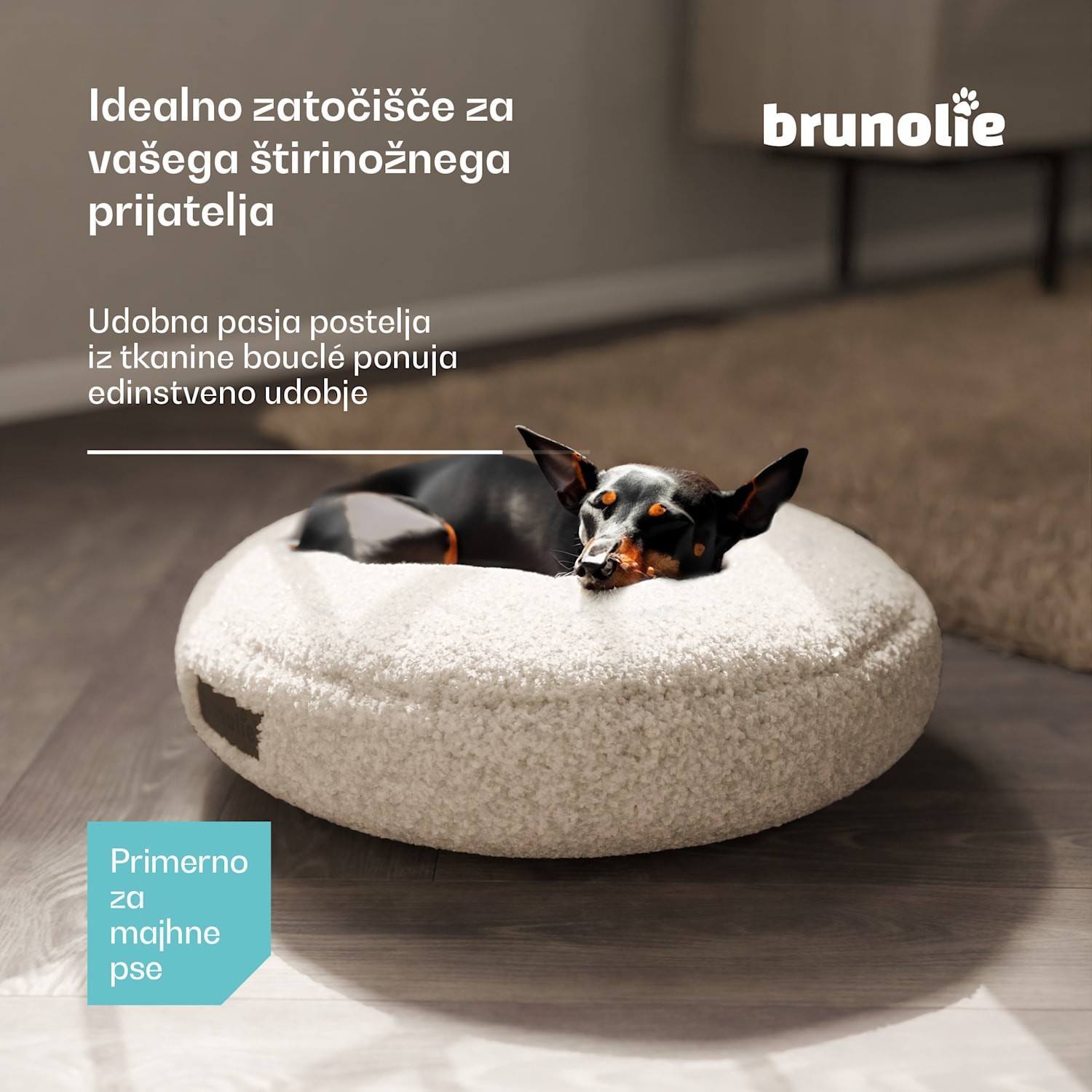 SnugNest pasja postelja Ø50 cm, za majhne pse, ročaj za prenašanje, nedrseča Ø 50 cm | Srednje siva