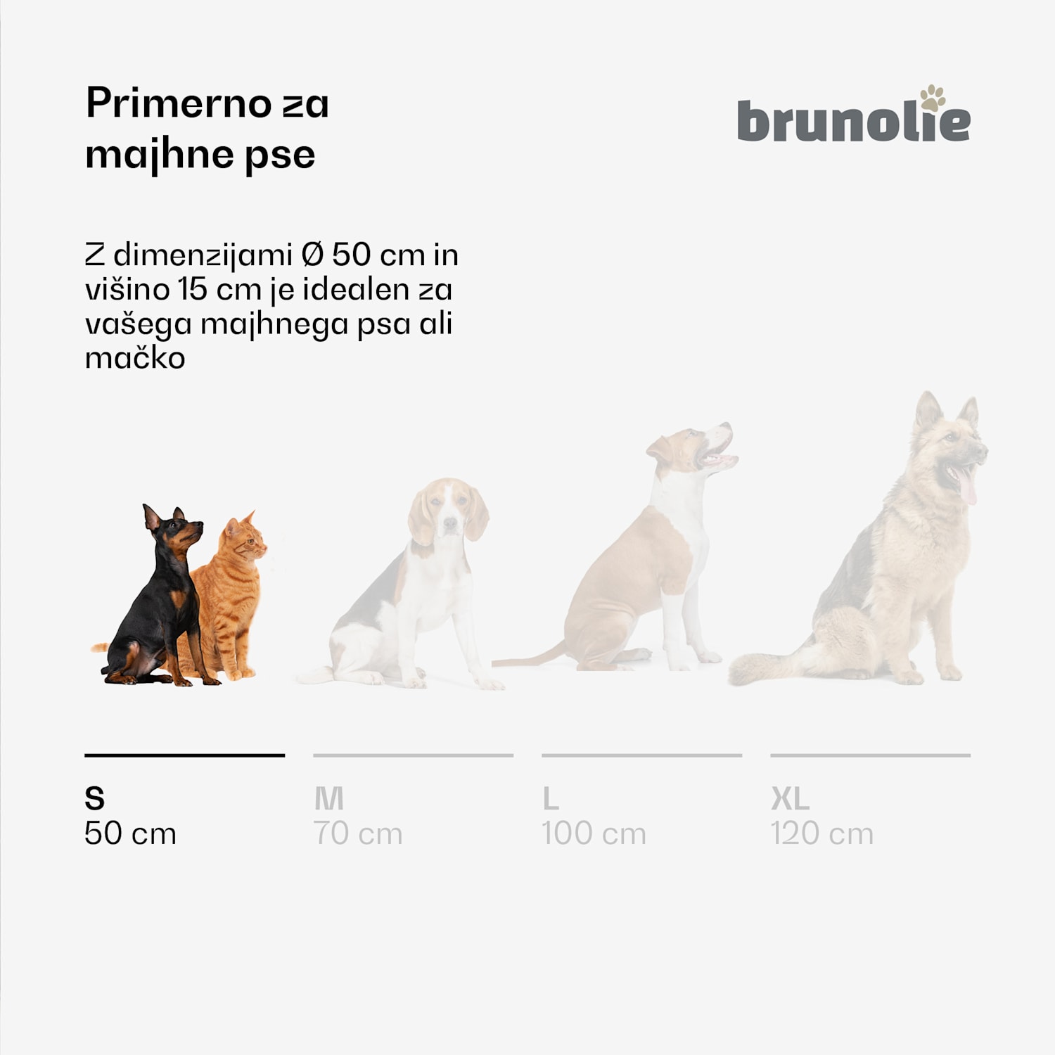 SnugNest pasja postelja Ø50 cm, za majhne pse, ročaj za prenašanje, nedrseča Ø 50 cm | Srednje siva
