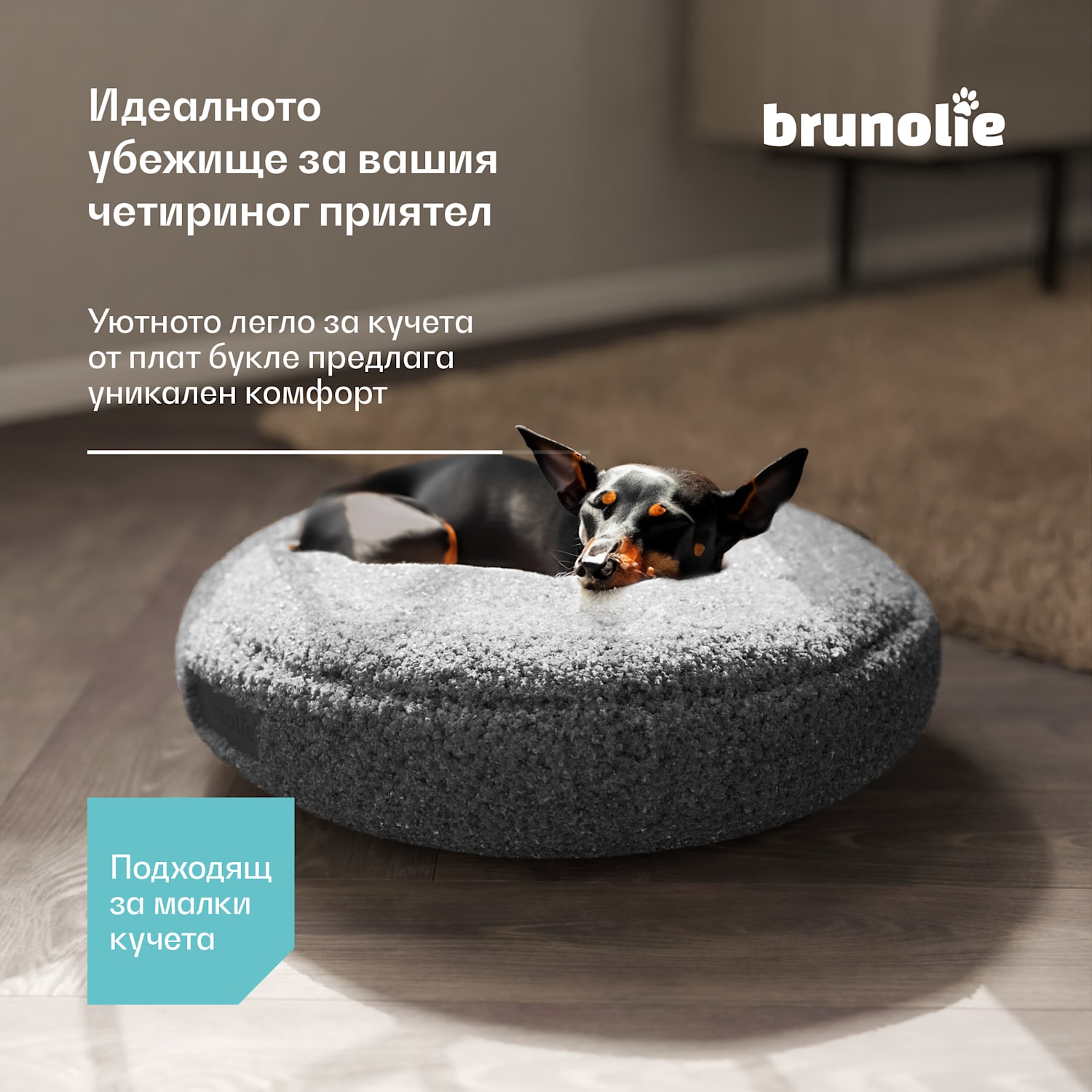 Легло за кучета SnugNest Ø50 cm, за малки кучета, дръжка за носене, нехлъзгащо се Ø 50 cm | Антрацит