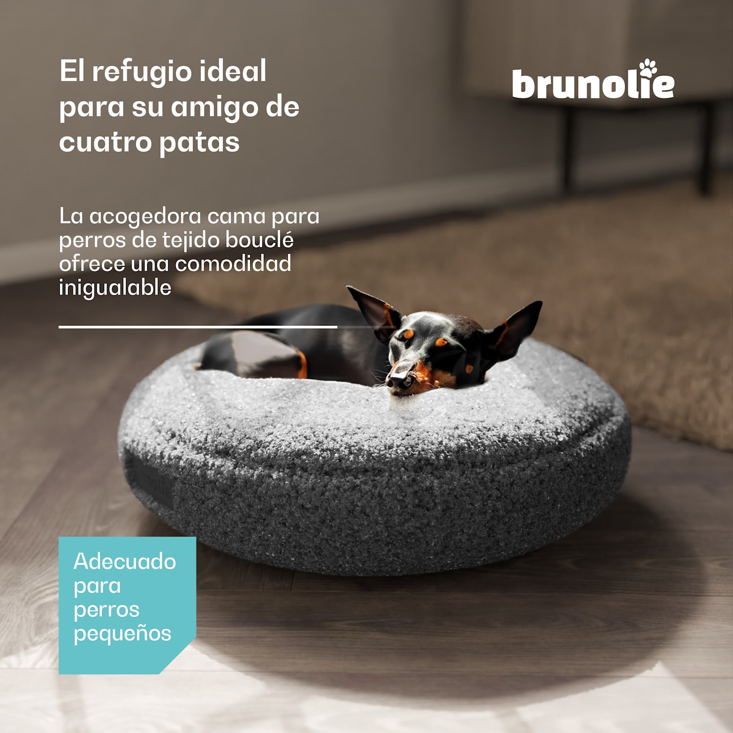Cama para perros SnugNest Ø50 cm | para perros pequeños | asa de transporte | antideslizante Ø 50 cm | Antracita