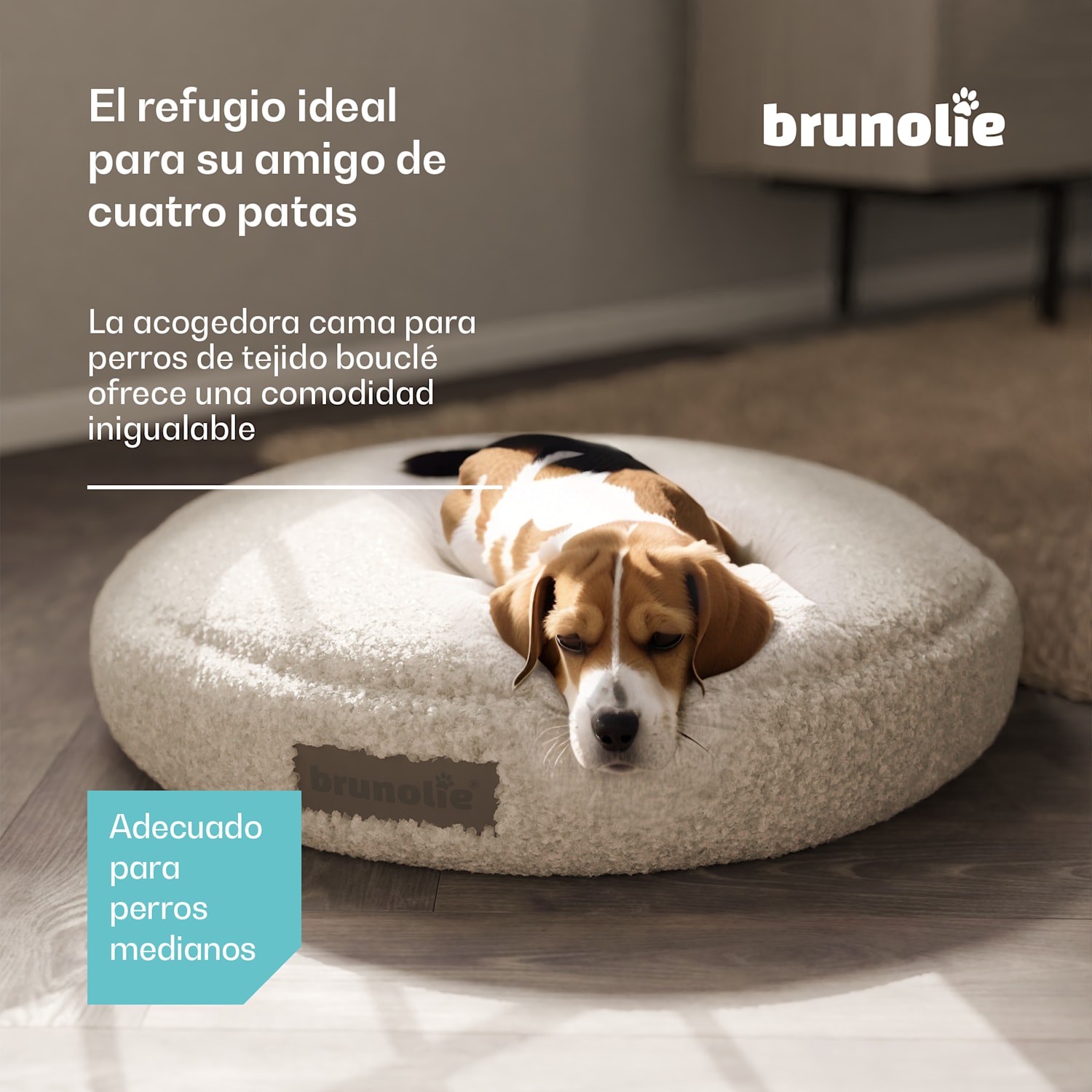 Cama para perros SnugNest Ø70 cm | para perros medianos | asa de transporte | antideslizante Ø 70 cm | Gris Medio