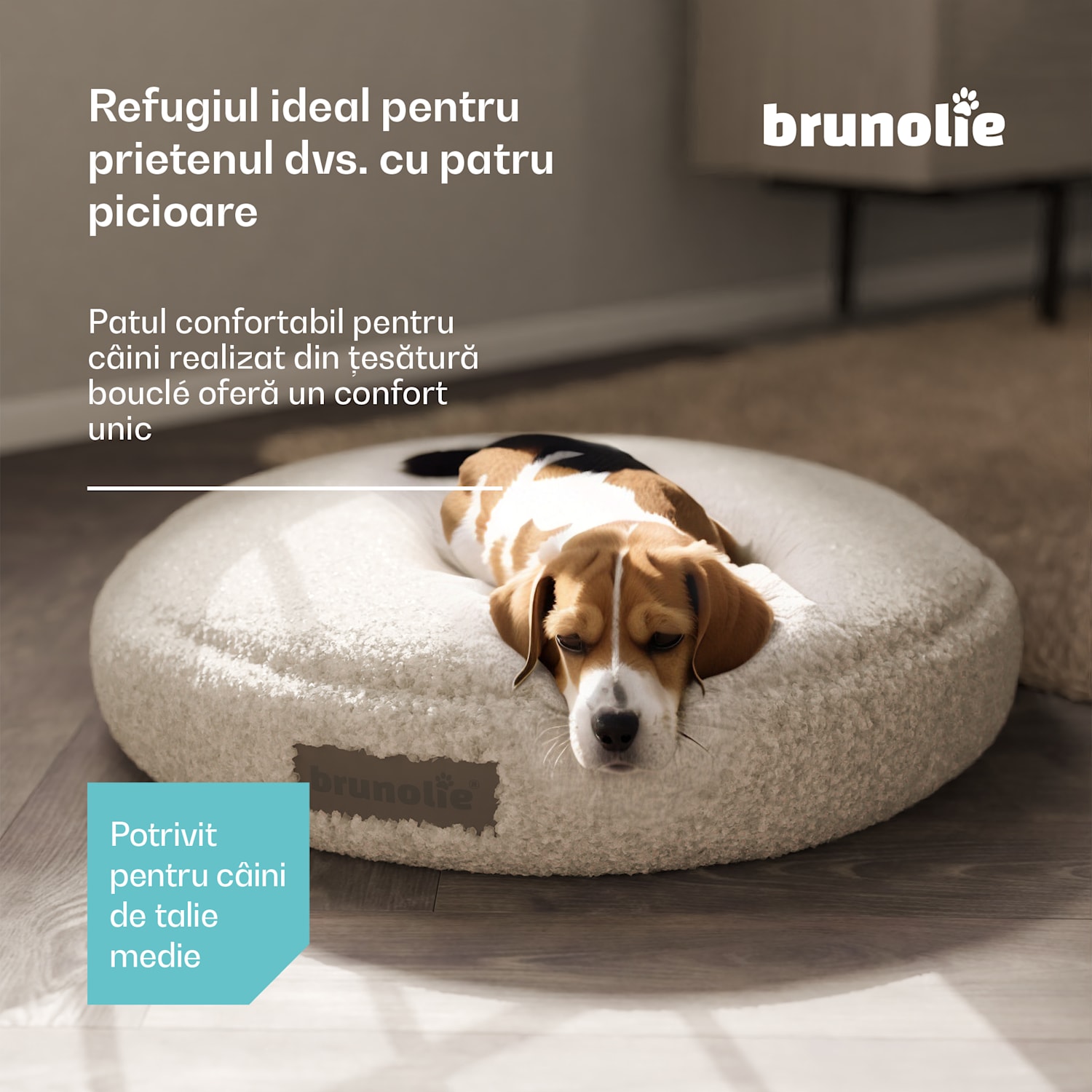 Patul pentru câini SnugNest Ø70 cm, pentru câini mici, mâner de transport, antiderapant Ø 70 cm | Gri mediu